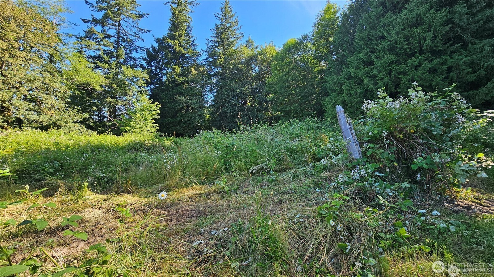 2469855 Property Photo 5