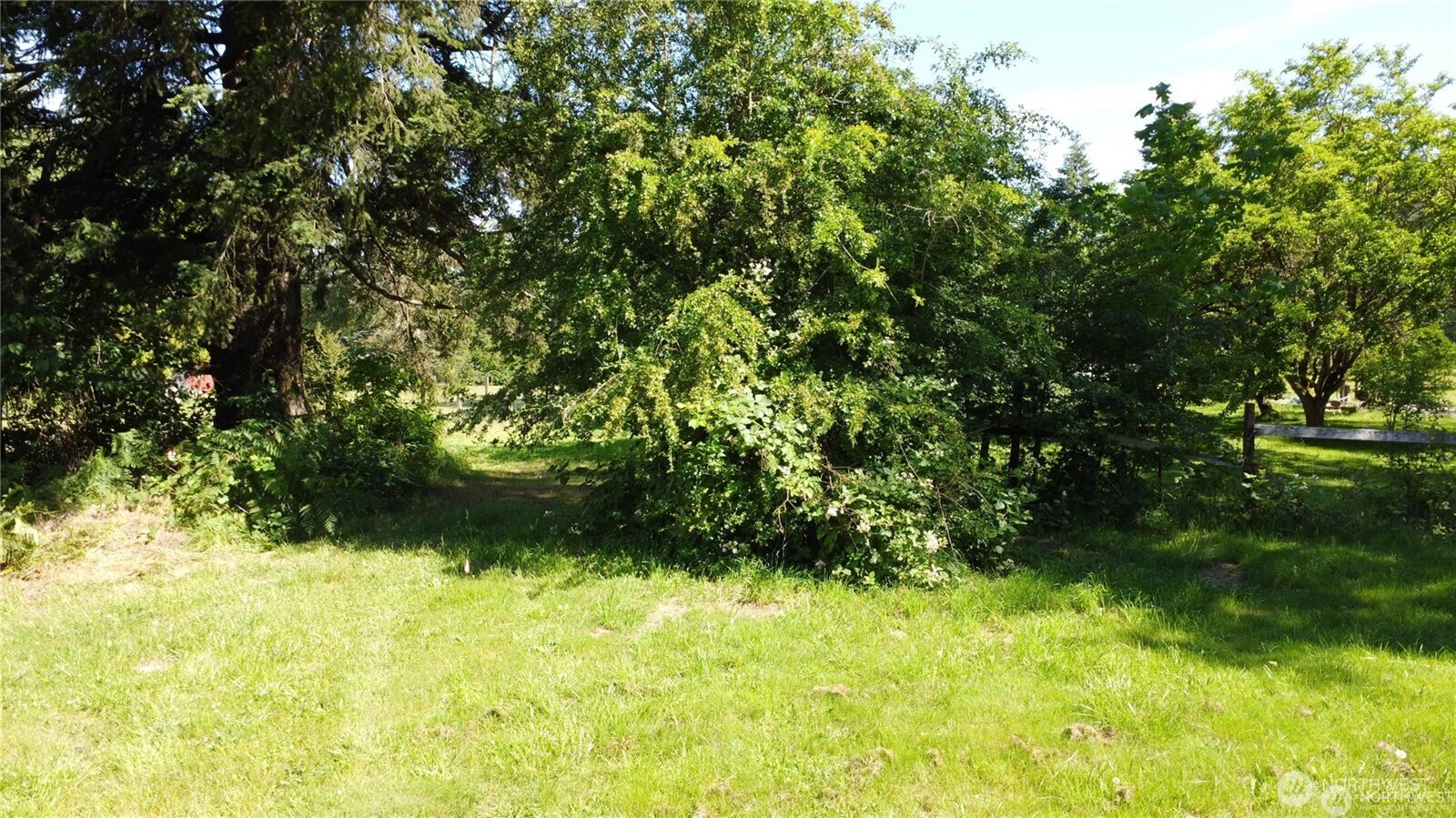 2469855 Property Photo 15
