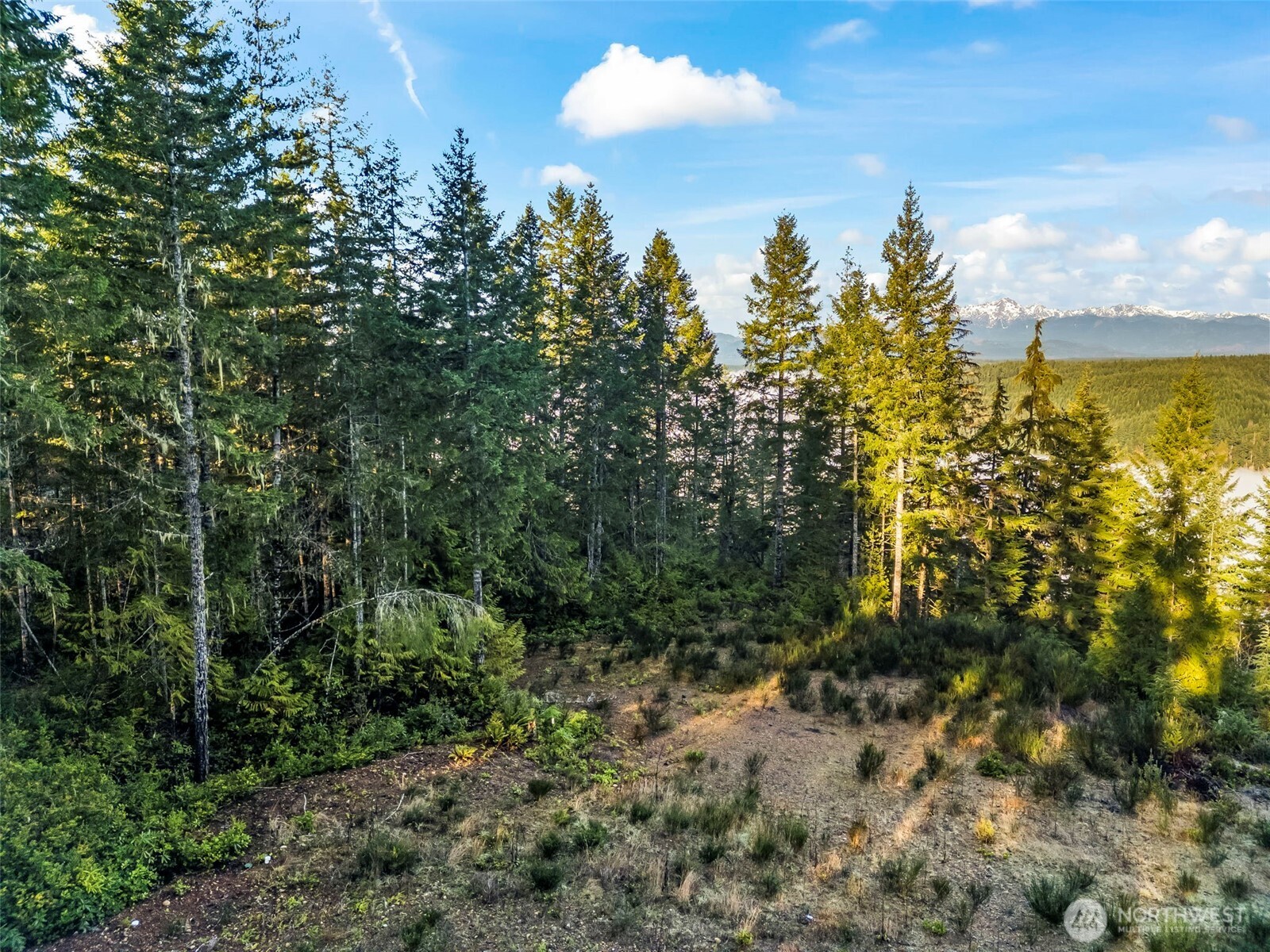 1123 E Timber Tides Drive Property Photo 1