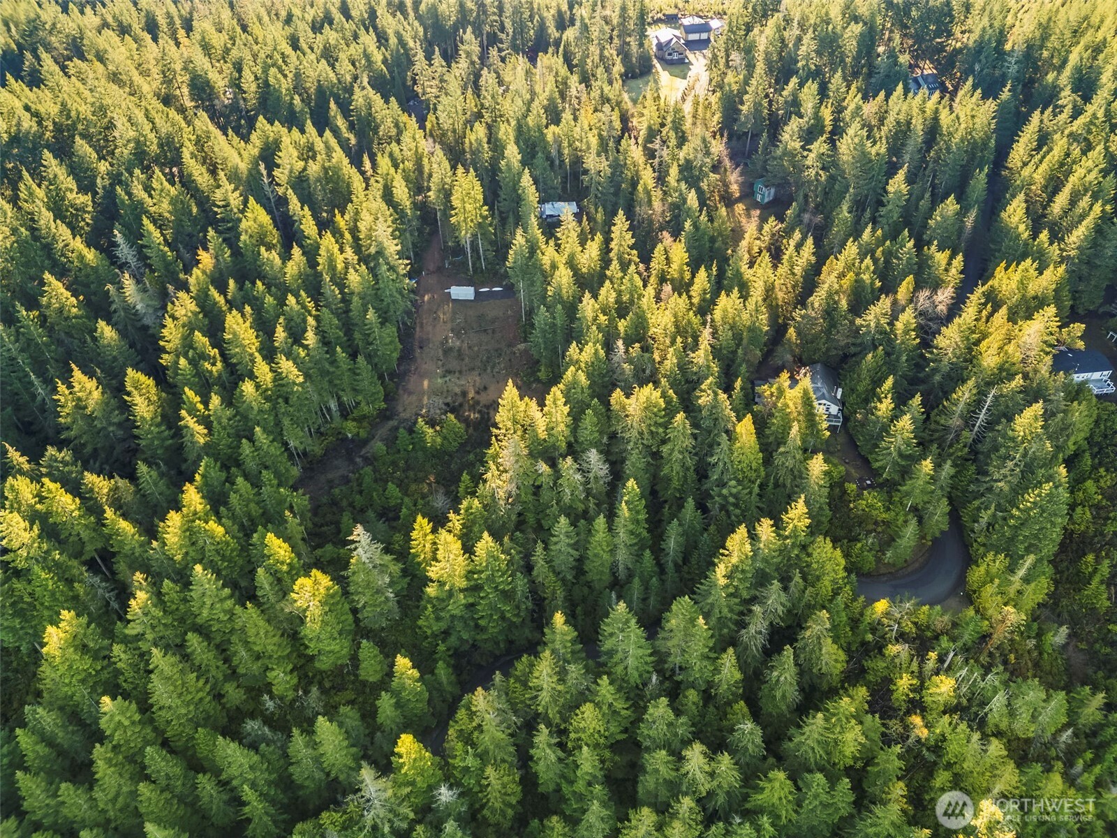 1123 E Timber Tides Drive Property Photo 3