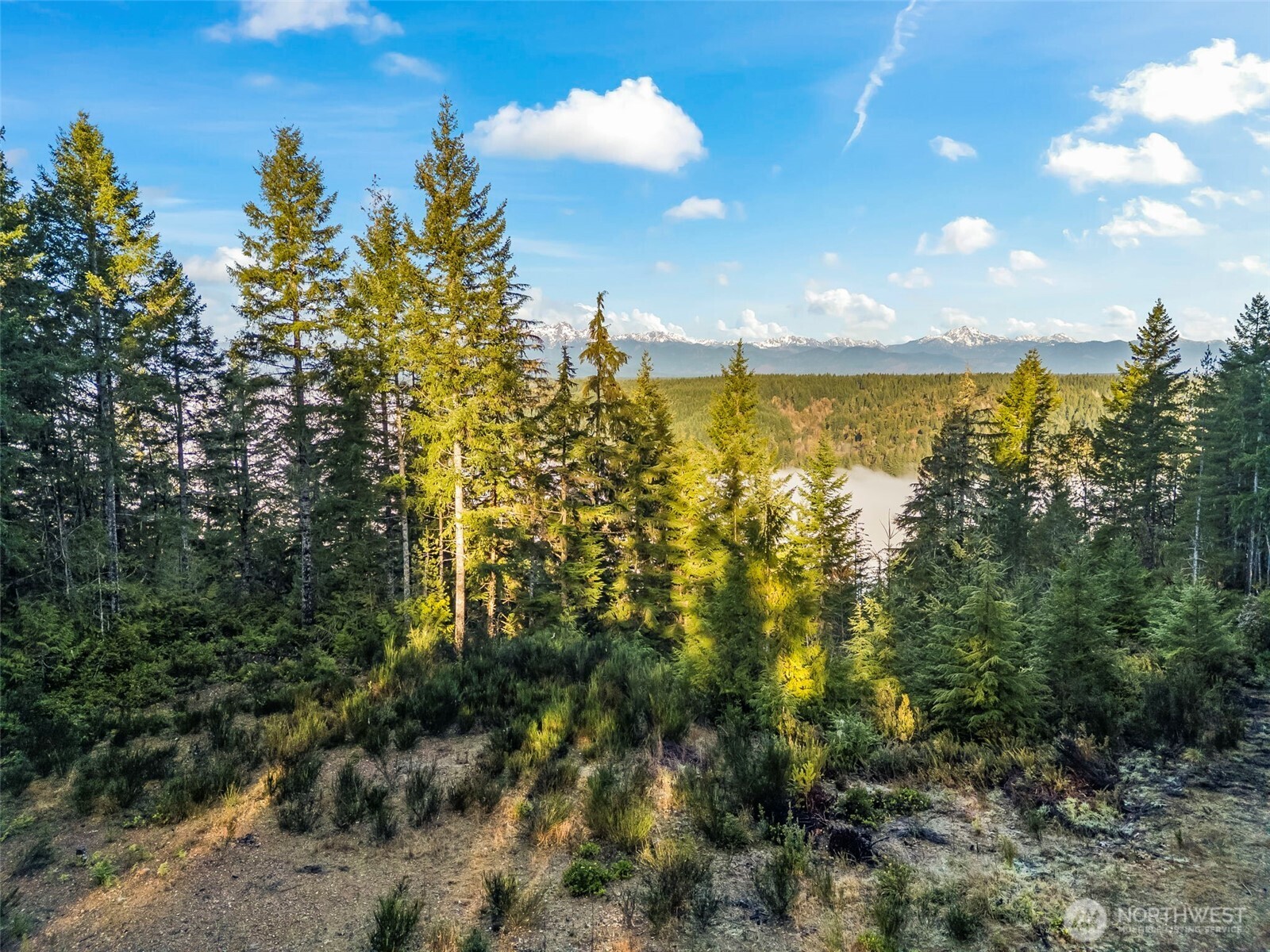 1133 E Timber Tides Drive Property Photo 1