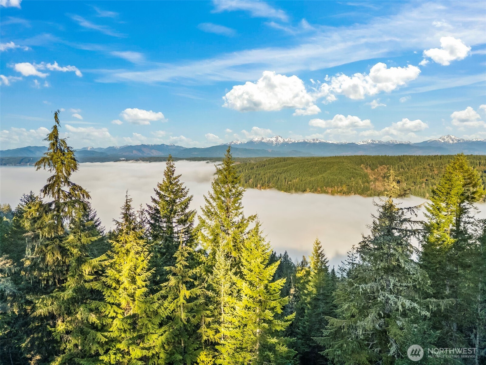 1133 E Timber Tides Drive Property Photo 2