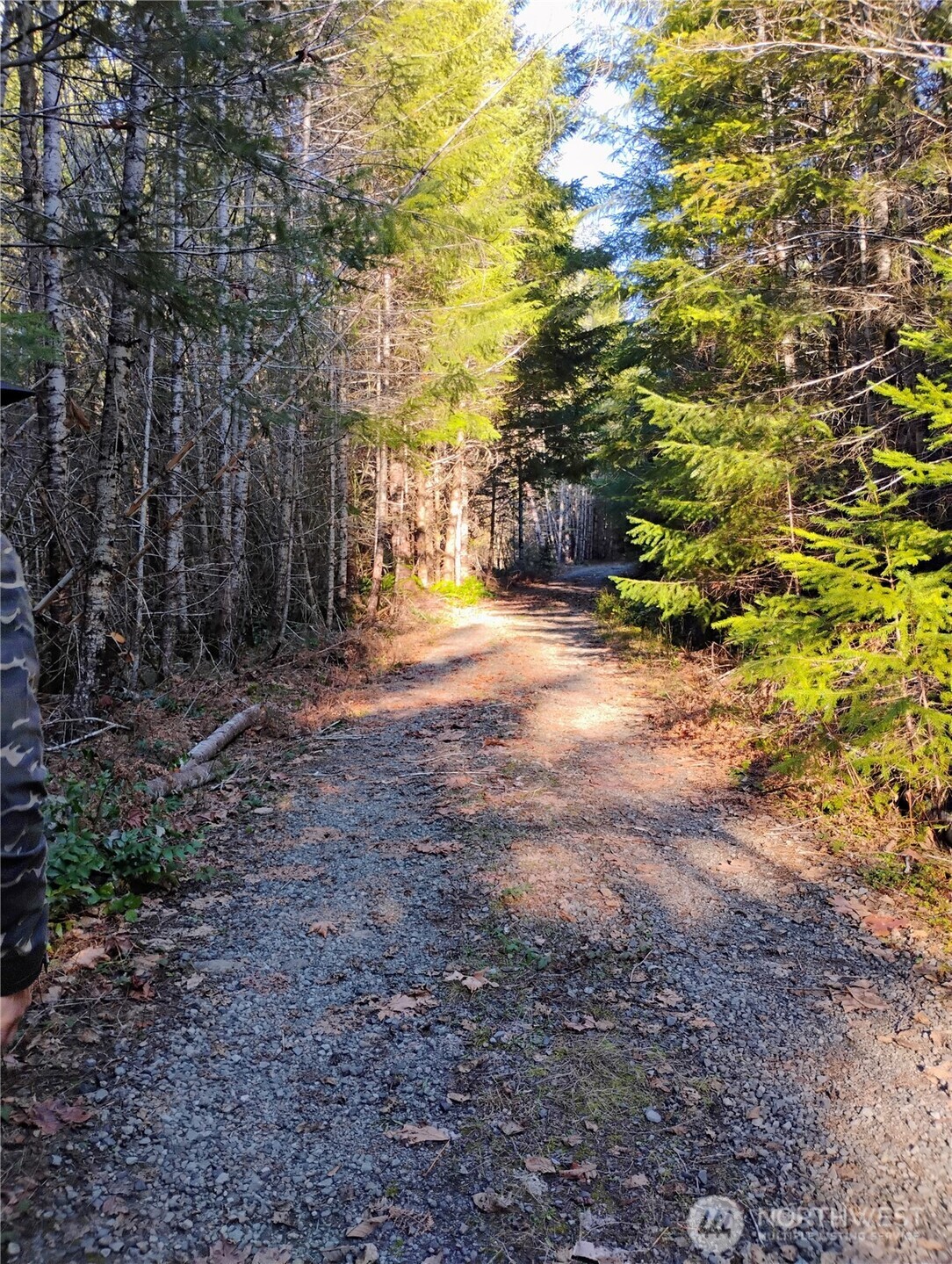 0 Skate Creek Road Property Photo 2
