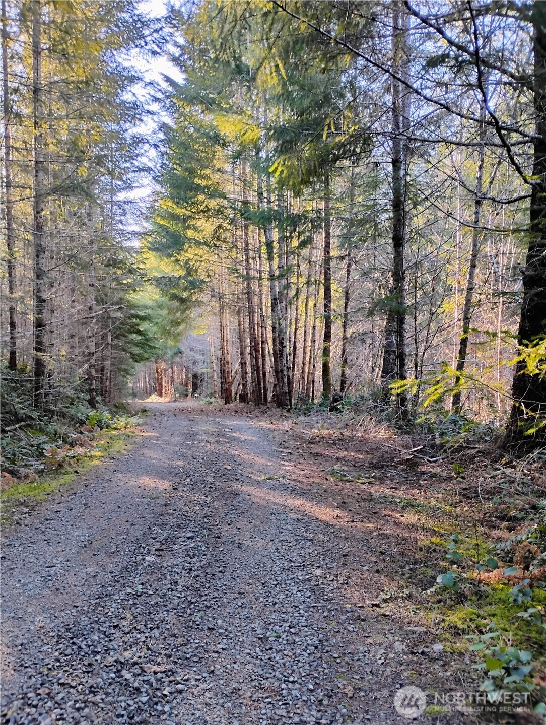 0 Skate Creek Road Property Photo 3