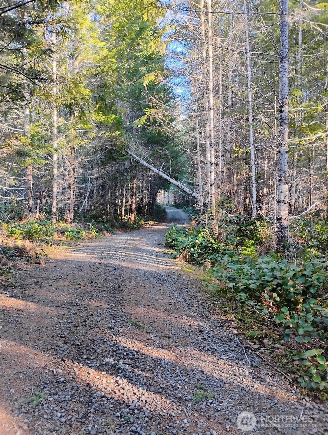 0 Skate Creek Road Property Photo 4