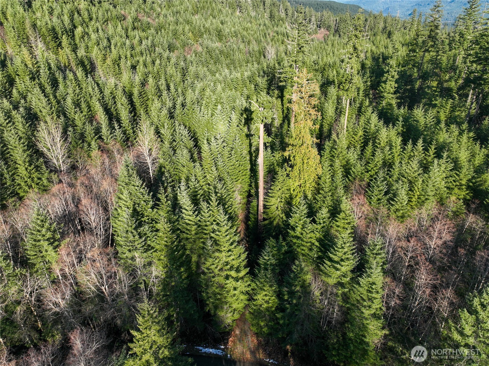 0 Skate Creek Road Property Photo 7