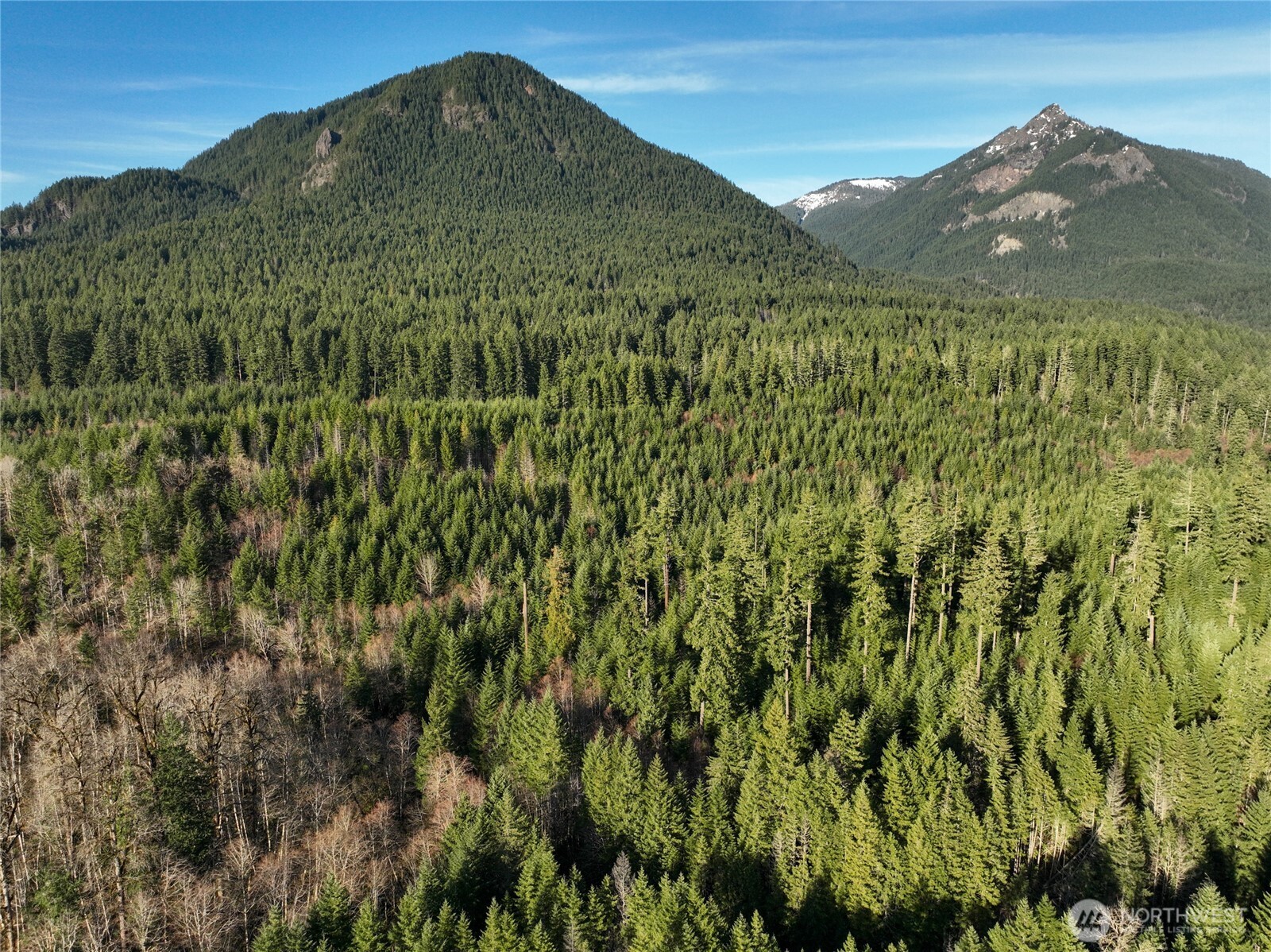 0 Skate Creek Road Property Photo 8