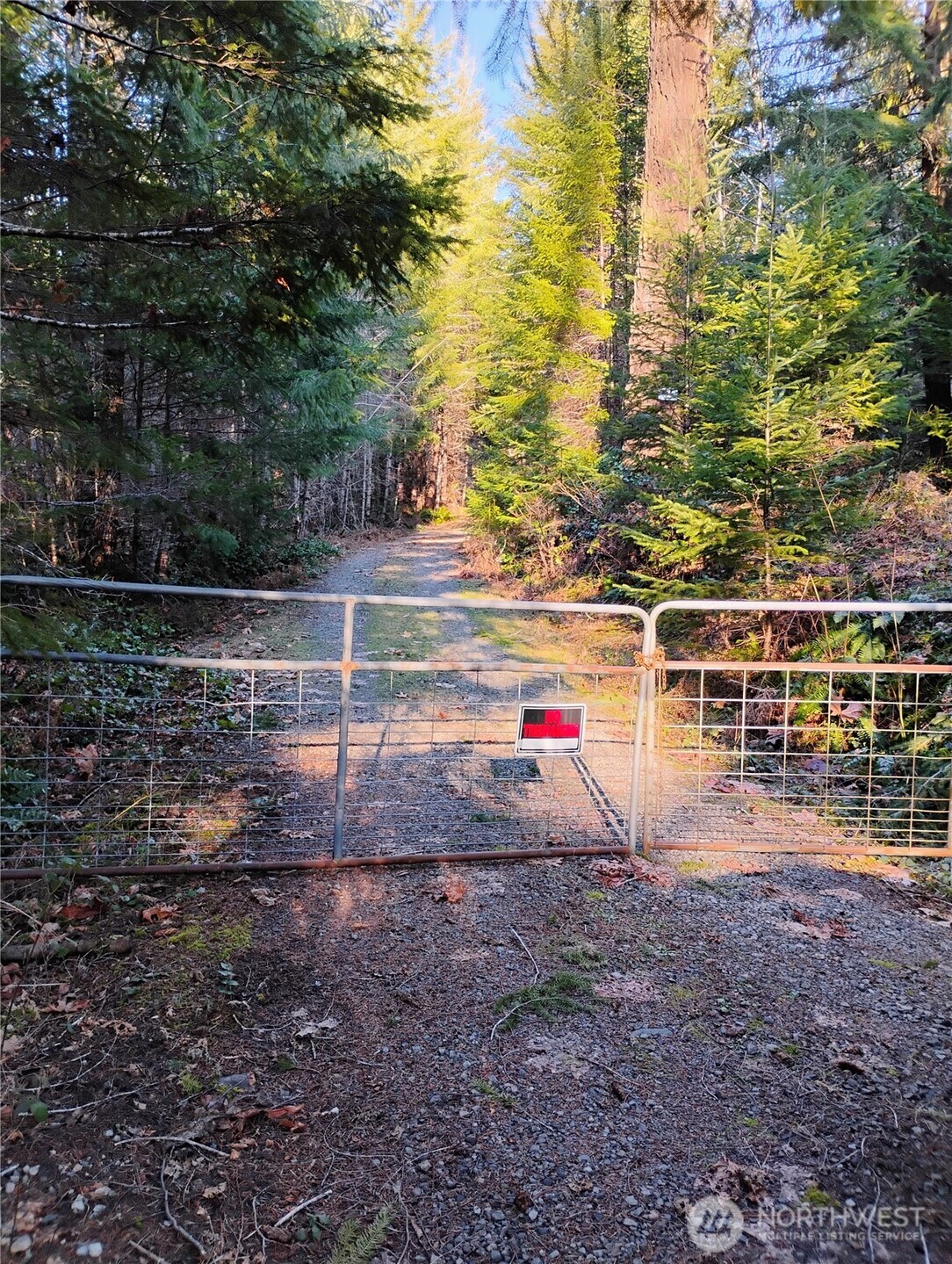 0 Skate Creek Road Property Photo 1