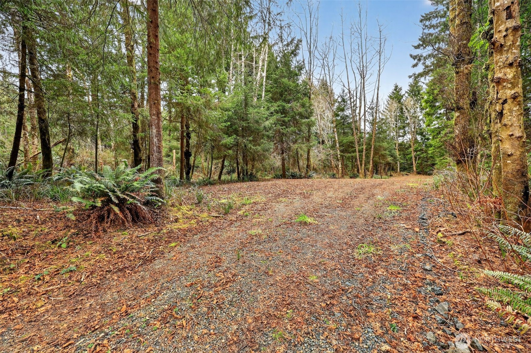 2776 State Route 109 Property Photo 8