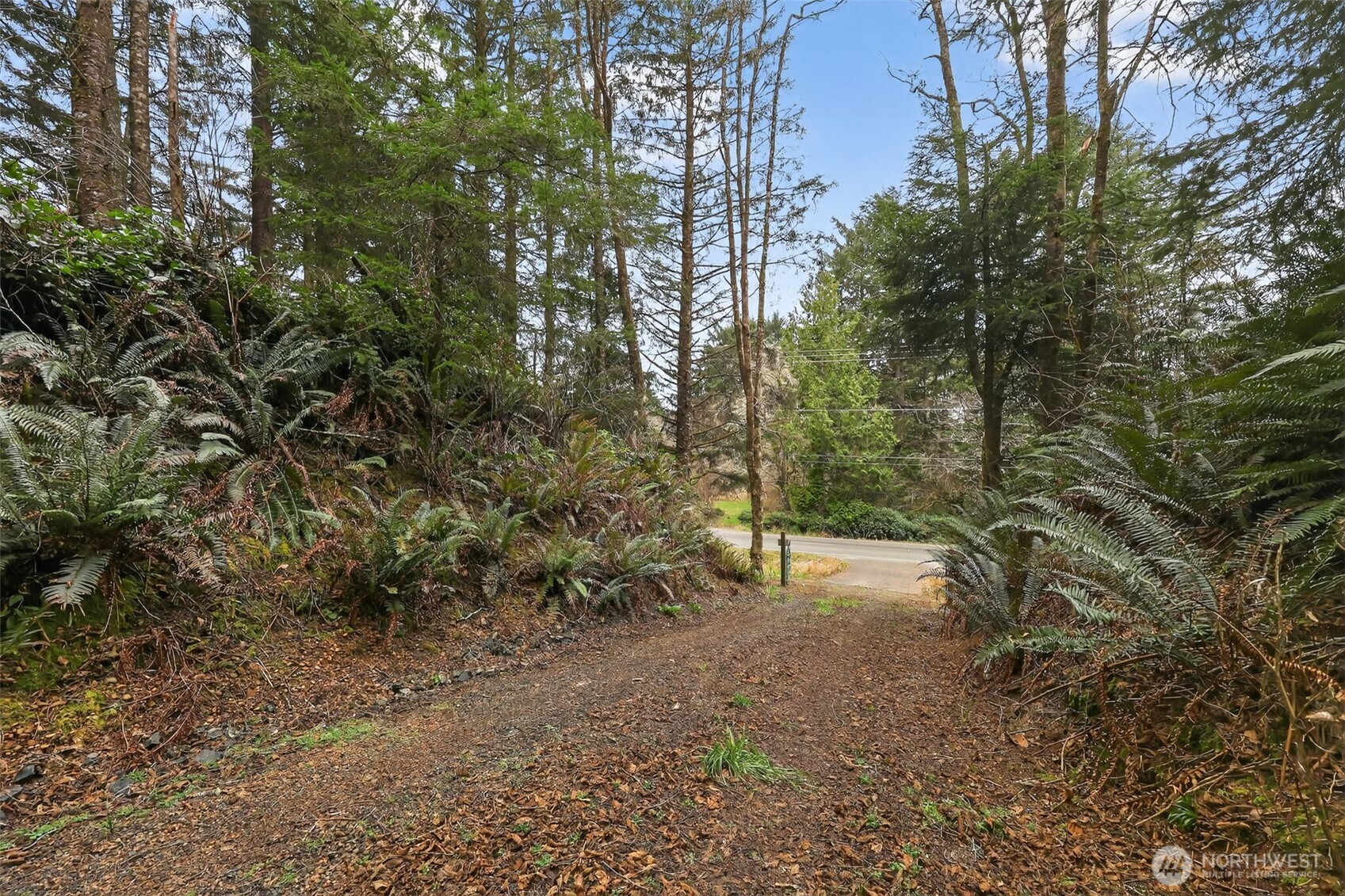 2776 State Route 109 Property Photo 9