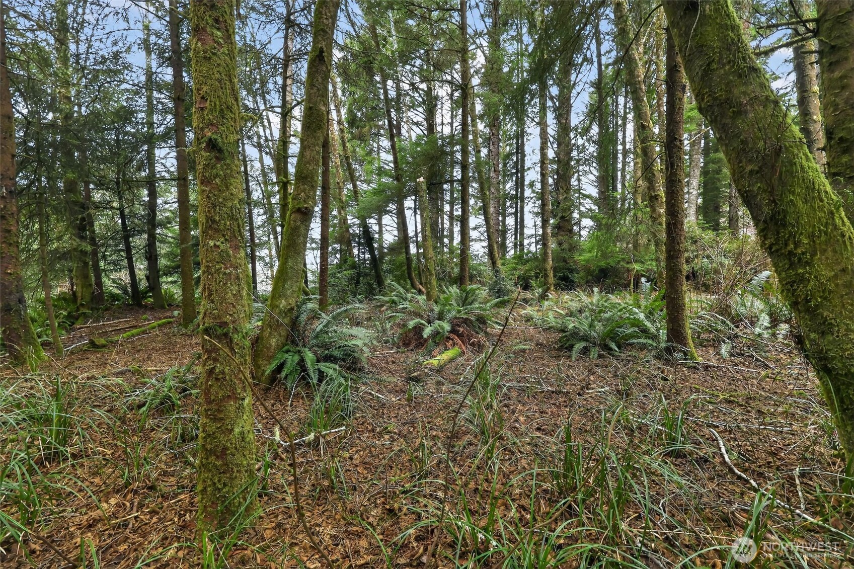 2776 State Route 109 Property Photo 11