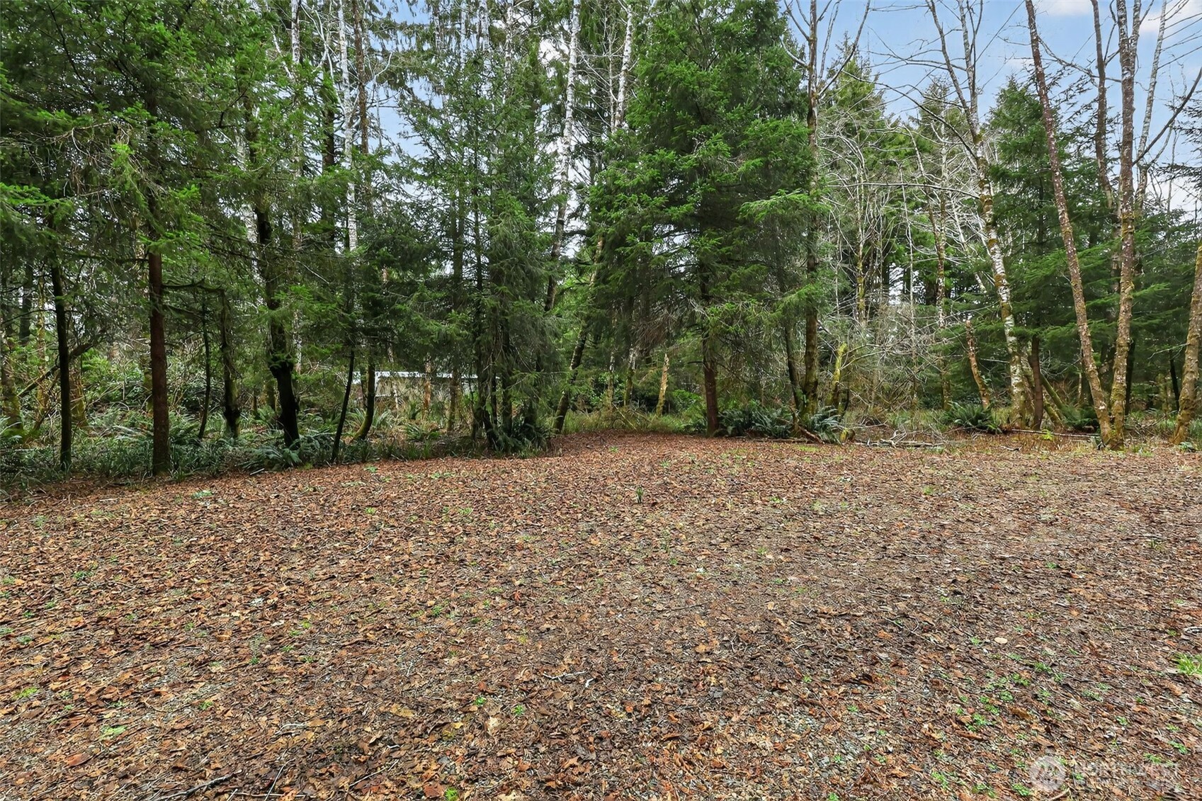 2776 State Route 109 Property Photo 12