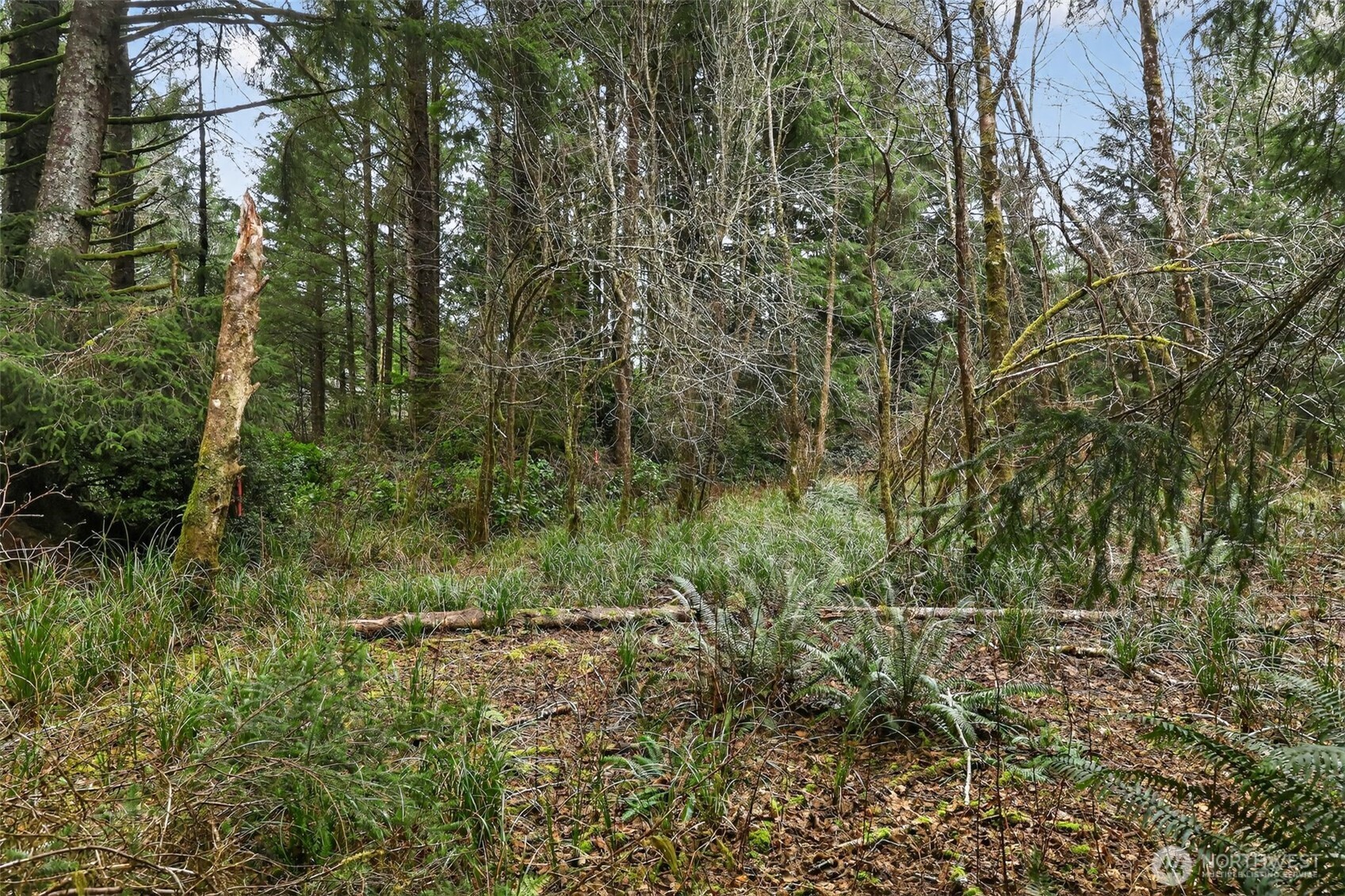 2776 State Route 109 Property Photo 15