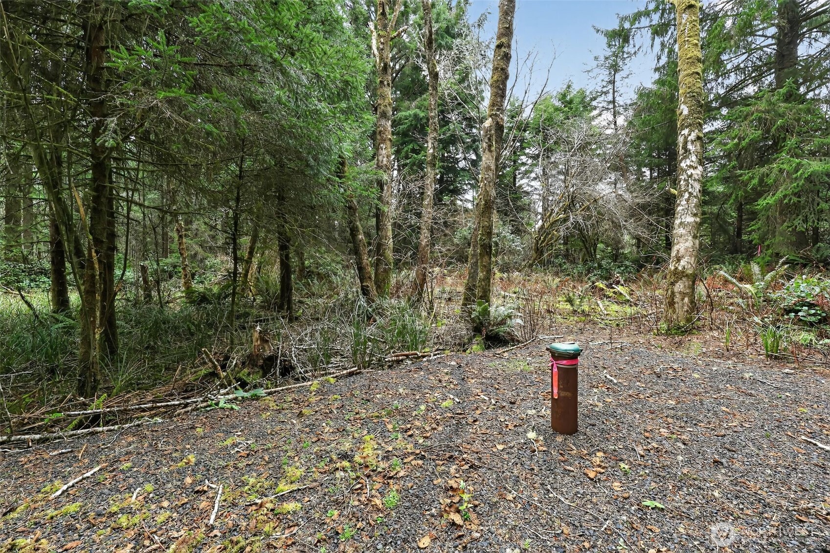 2776 State Route 109 Property Photo 16