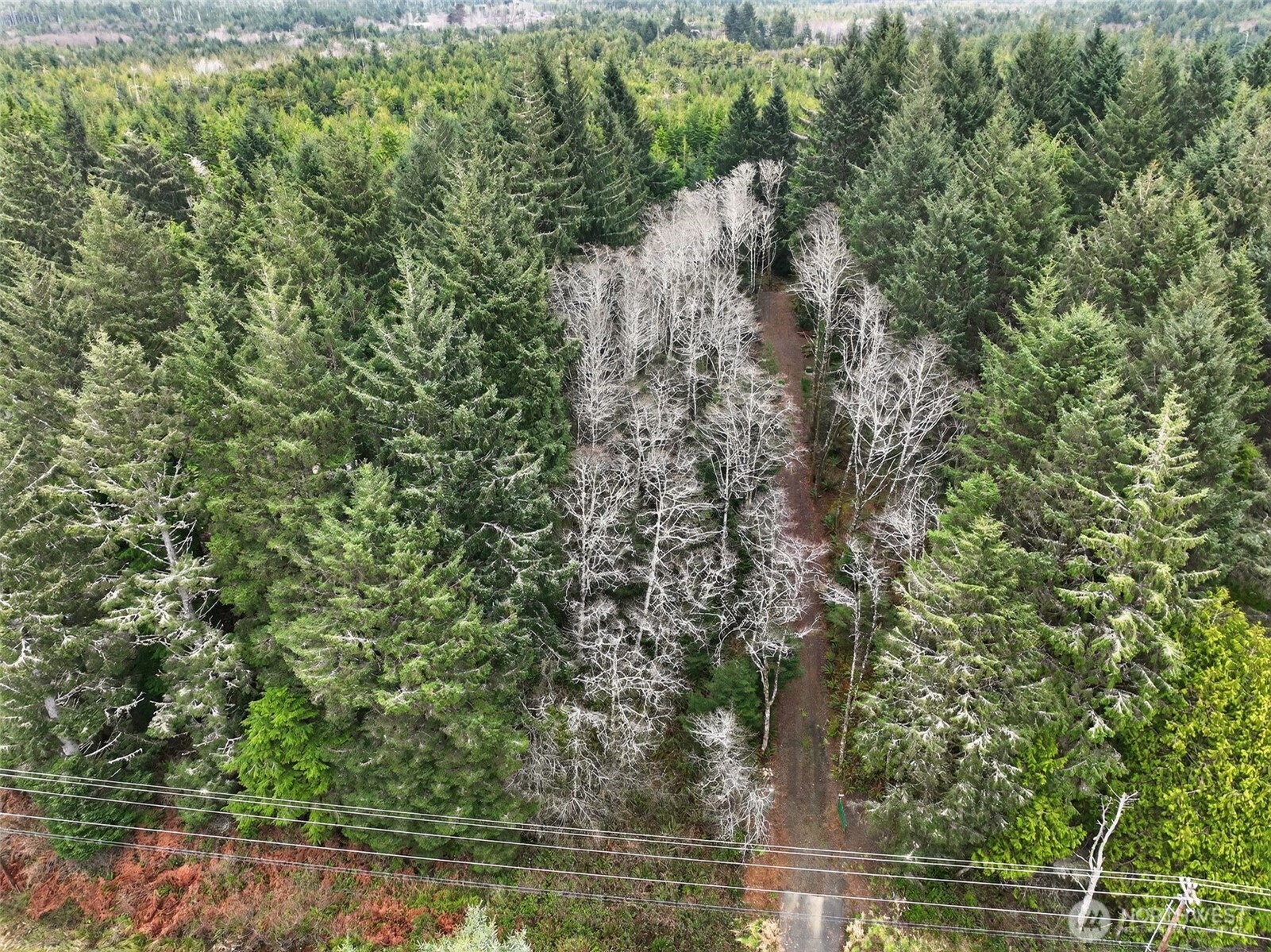 2776 State Route 109 Property Photo 20