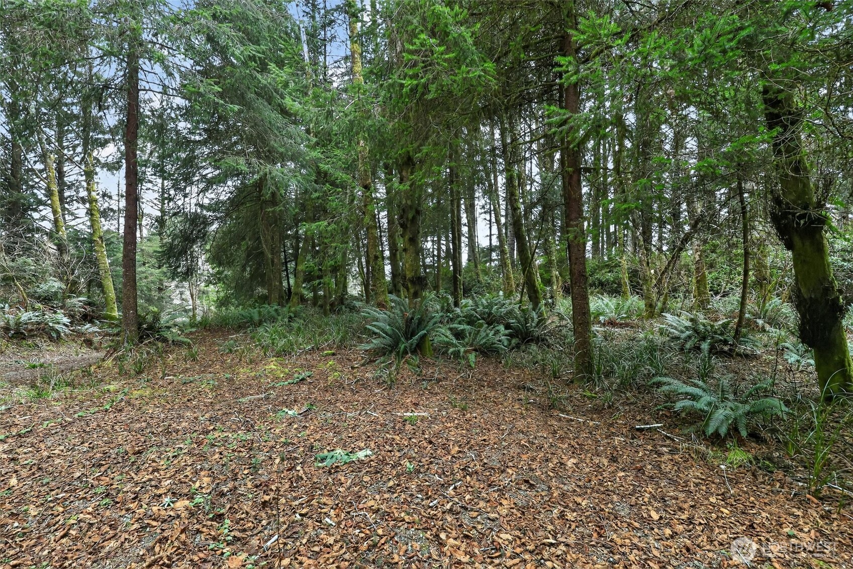 2776 State Route 109 Property Photo 24