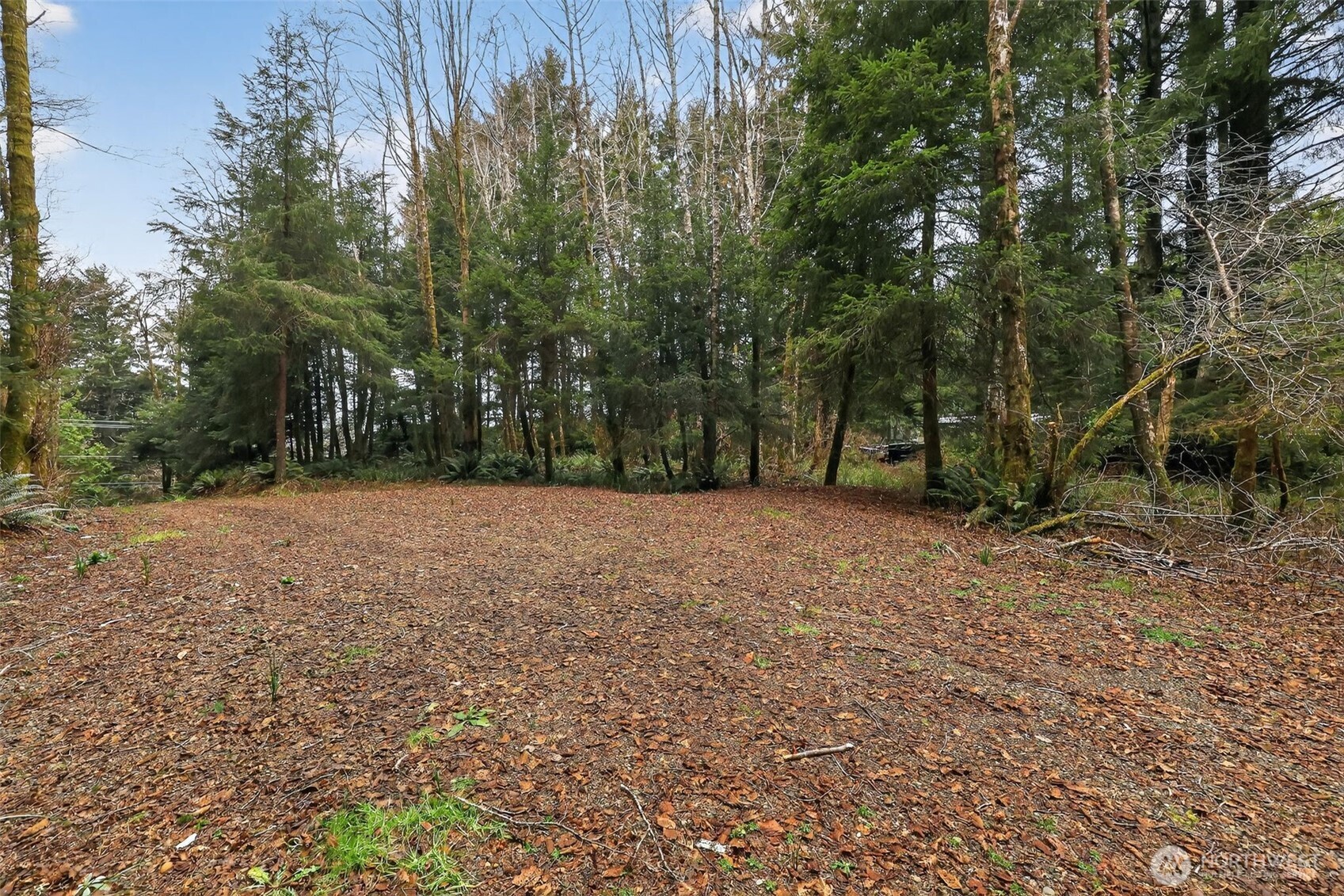 2776 State Route 109 Property Photo 25