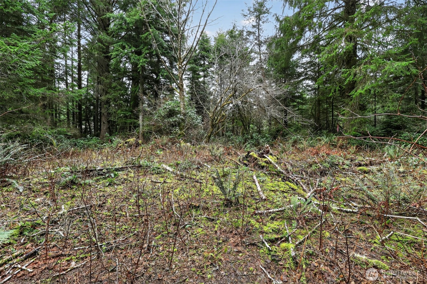 2776 State Route 109 Property Photo 27