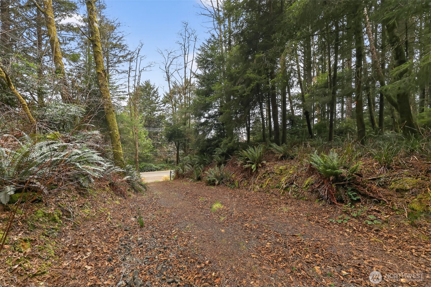 2776 State Route 109 Property Photo 28