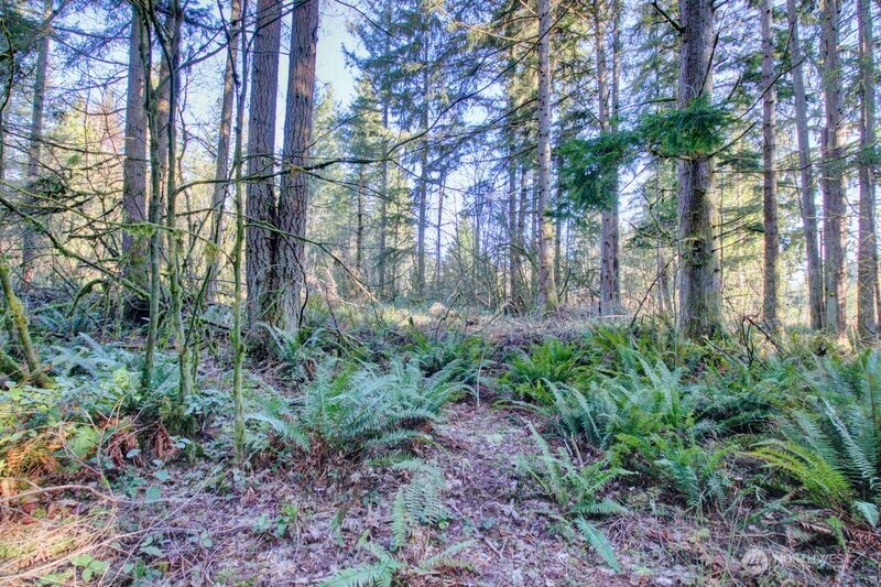 5353 Wildlife Acres Property Photo 23