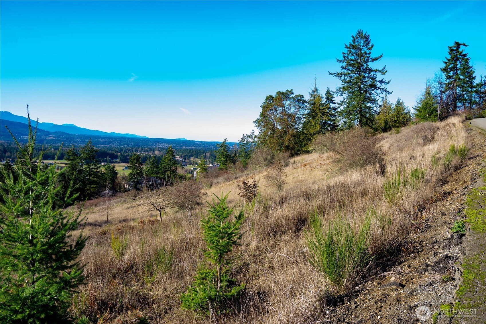 0 Lot 3 Hillside Drive Property Photo 12