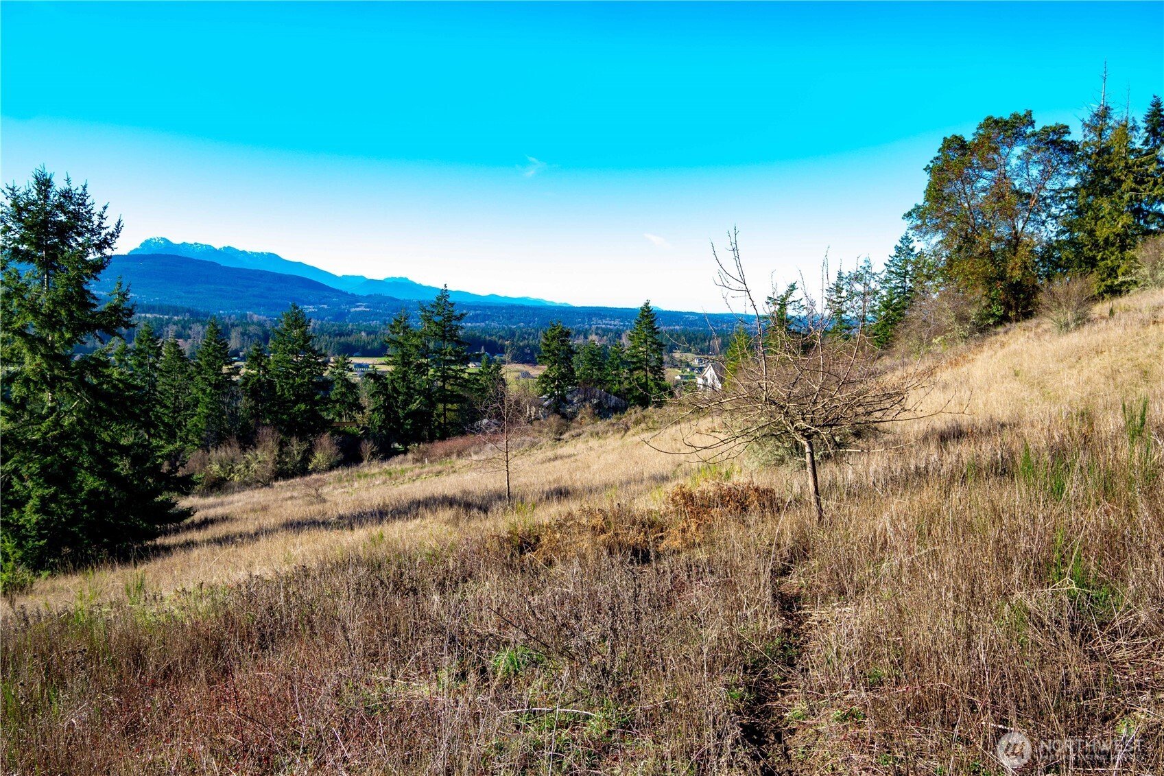 0 Lot 3 Hillside Drive Property Photo 14