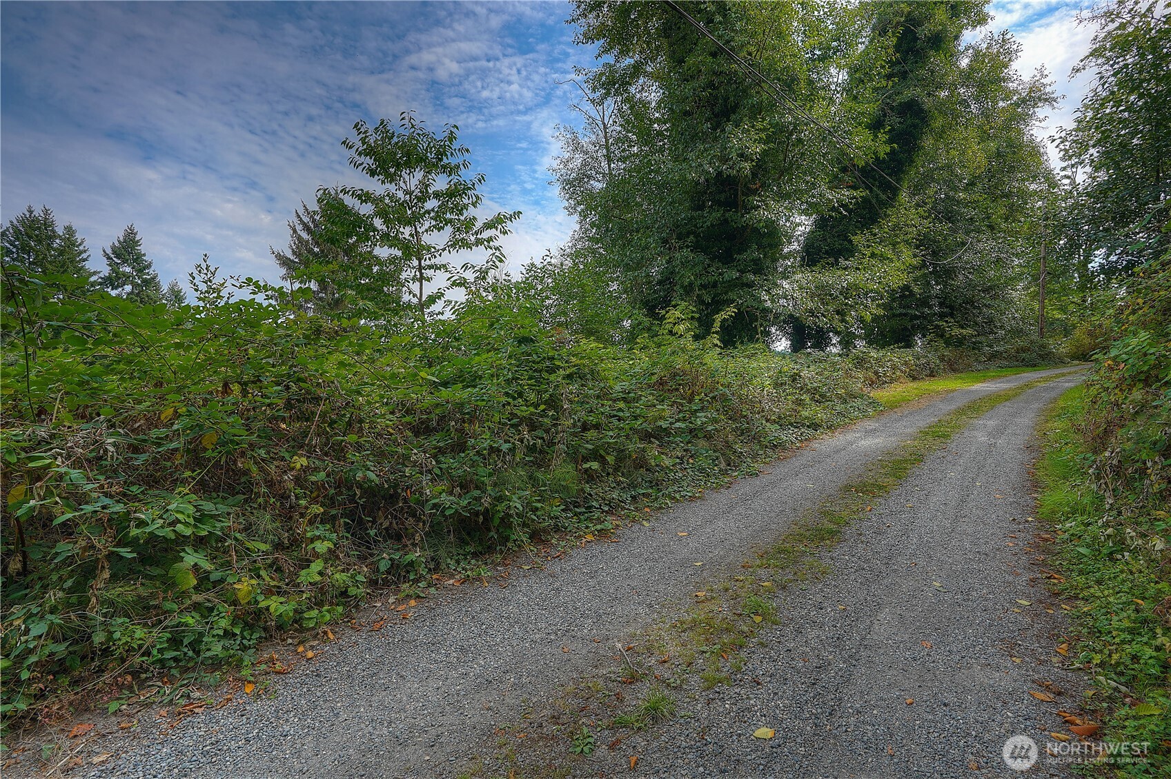 2415 48th Avenue Property Photo 15