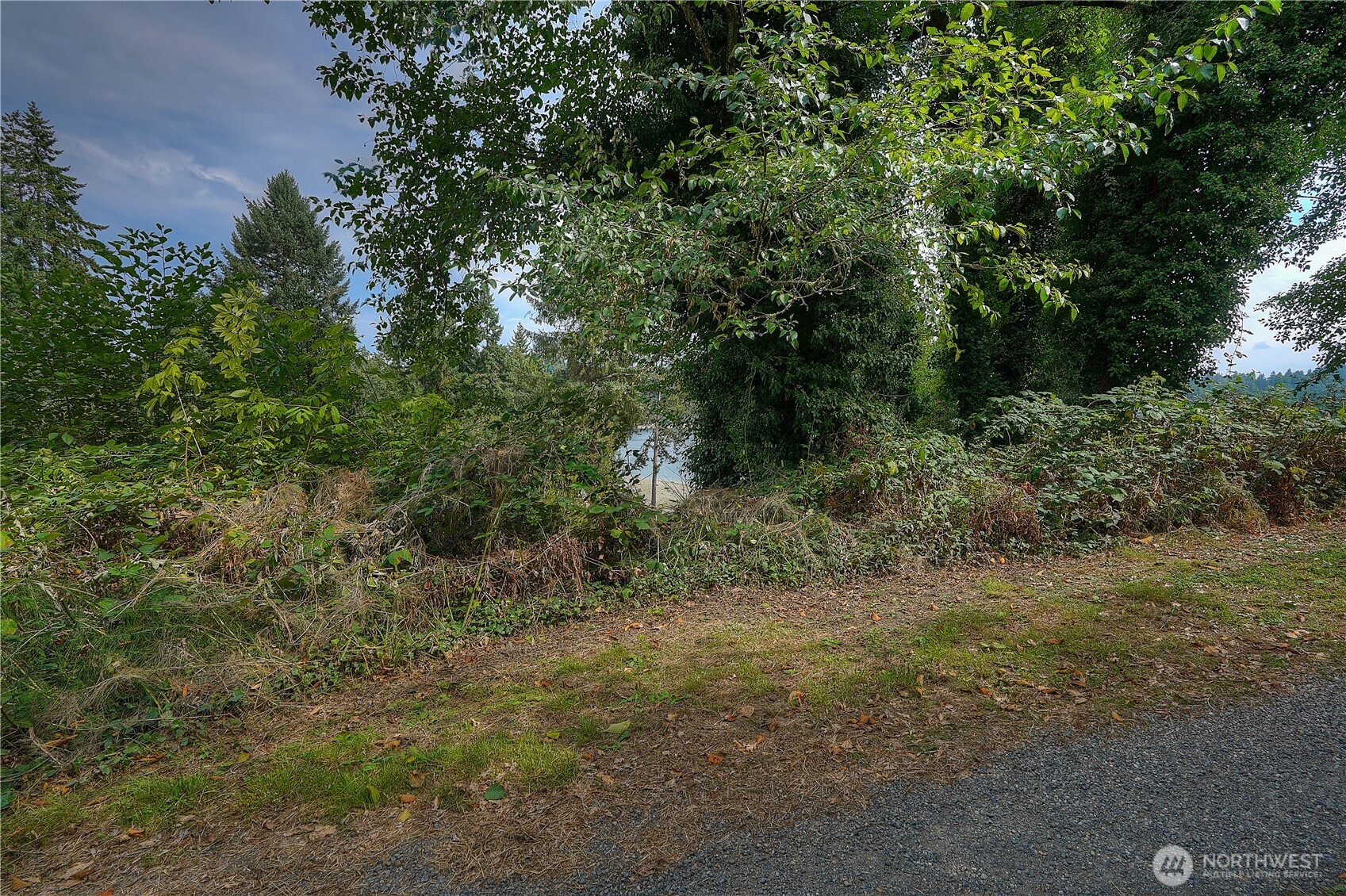 2415 48th Avenue Property Photo 16