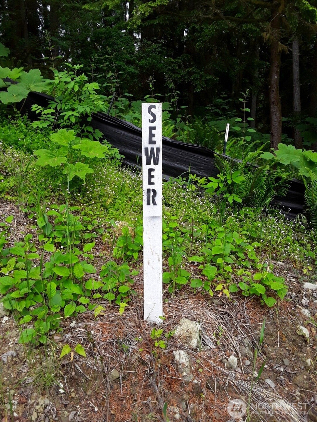 17600 Se Cougar Mountain Drive Property Photo 8