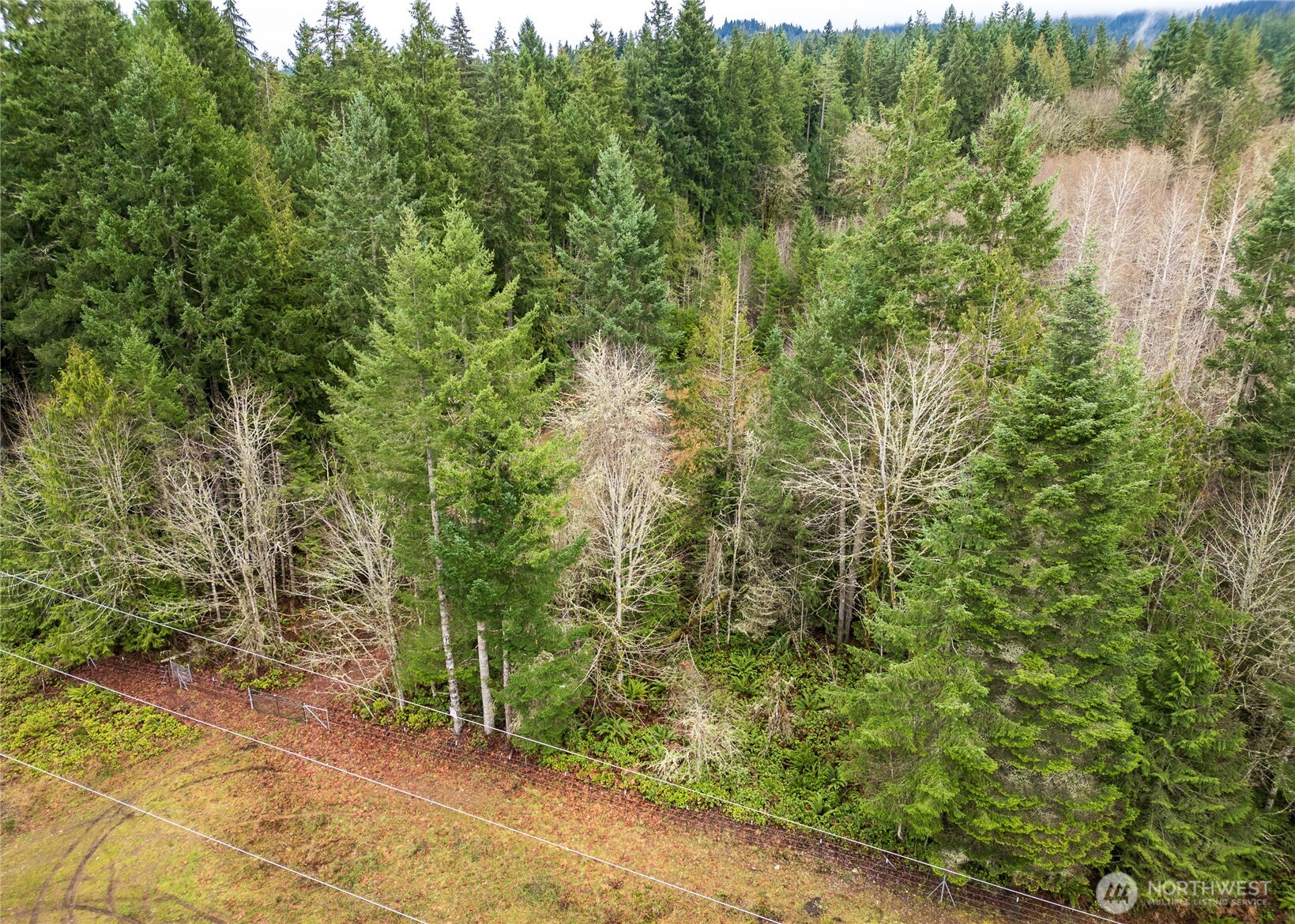 0 Nka Scribner Road Property Photo 3