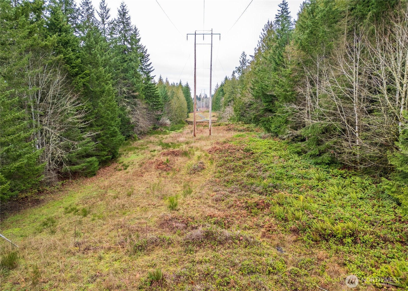 0 Nka Scribner Road Property Photo 19