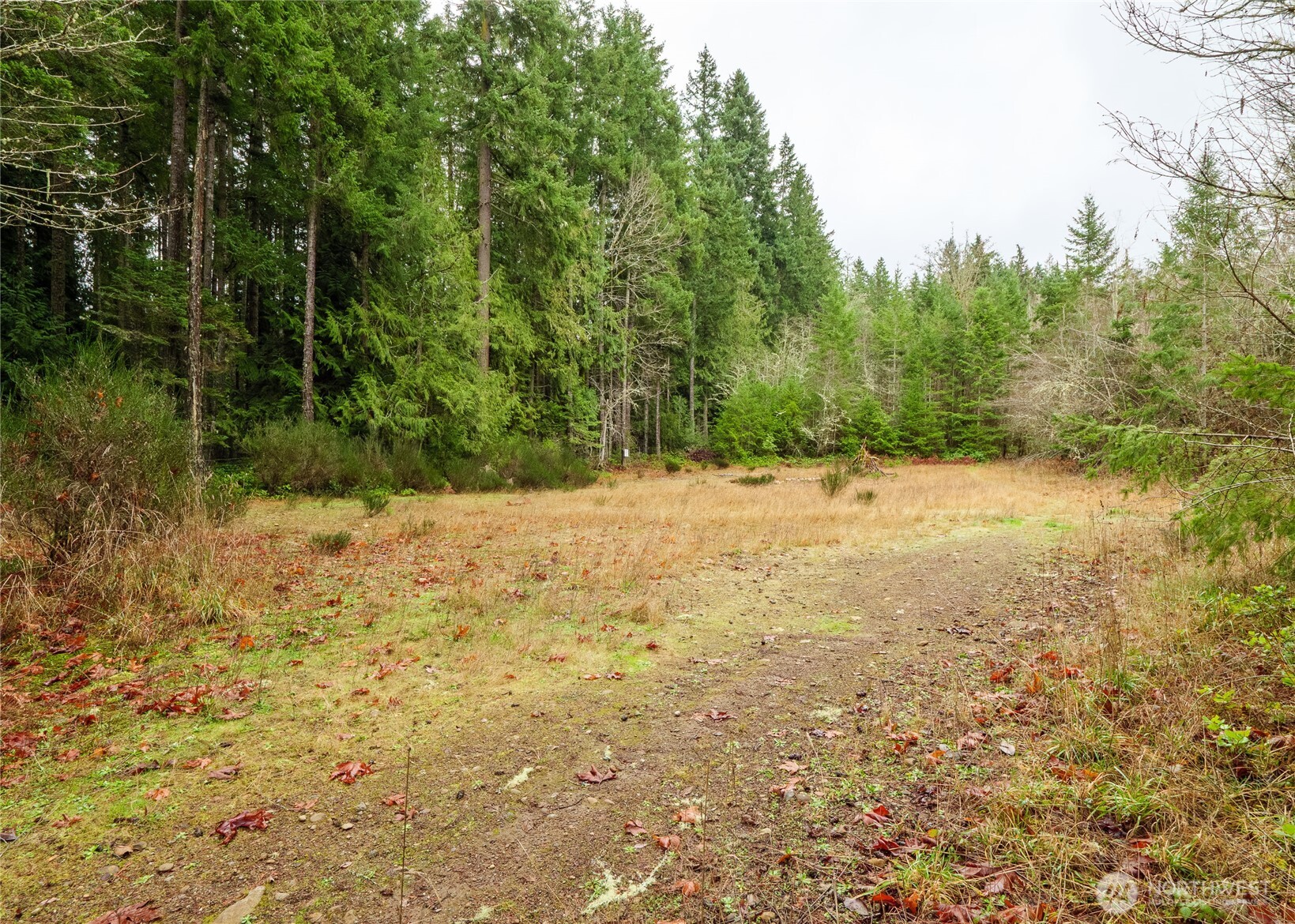 0 Nka Scribner Road Property Photo 24