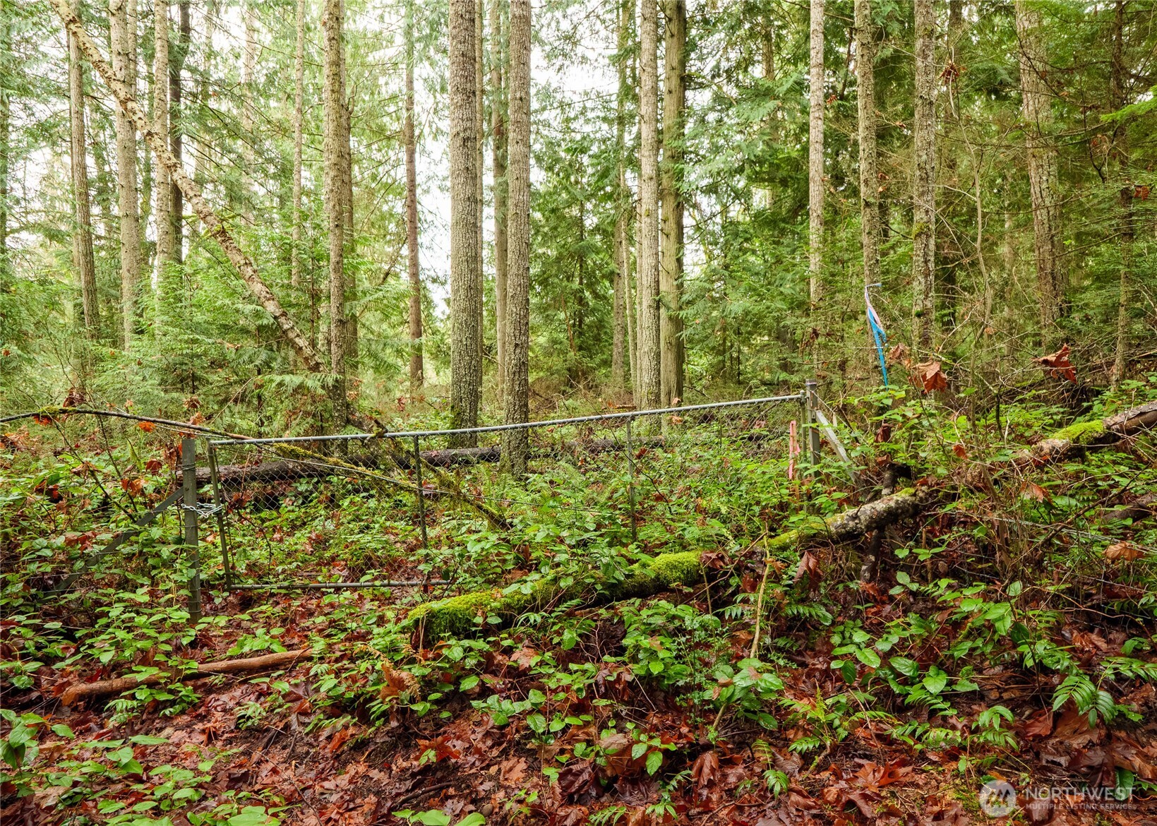 0 Nka Scribner Road Property Photo 30