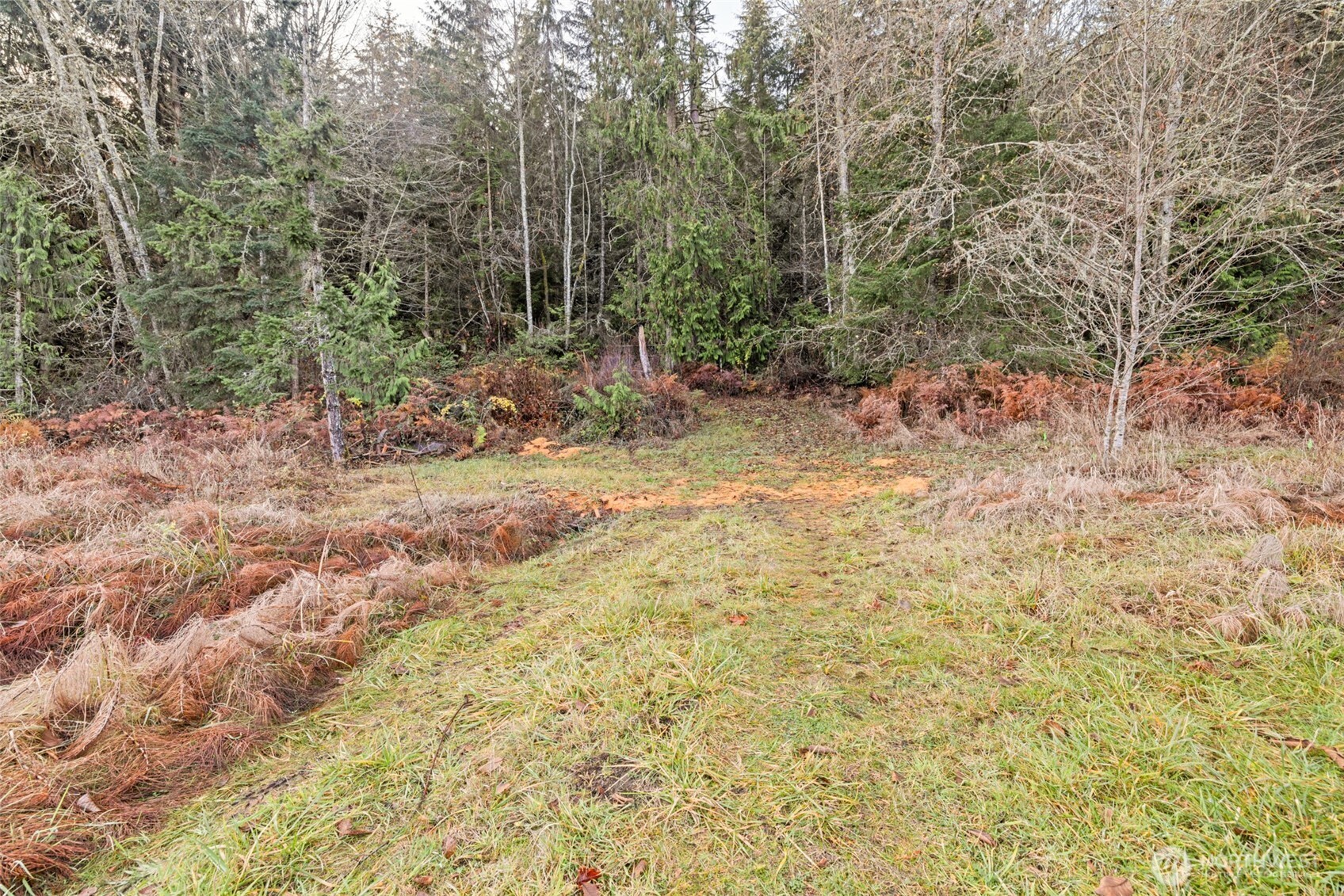 0 Nka Lost Mountain Road Property Photo 6