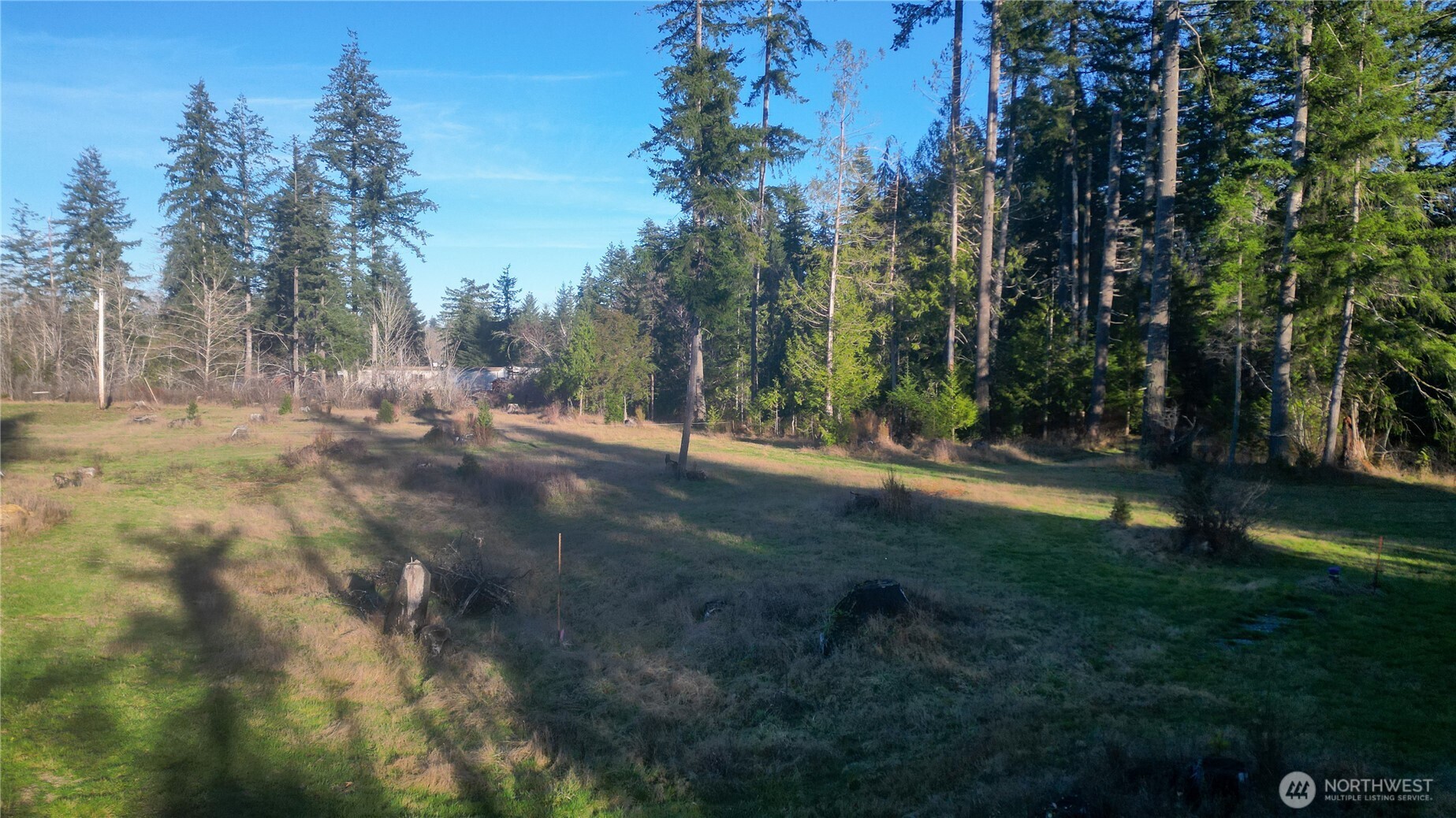 443 Elma Hicklin Road Property Photo 1