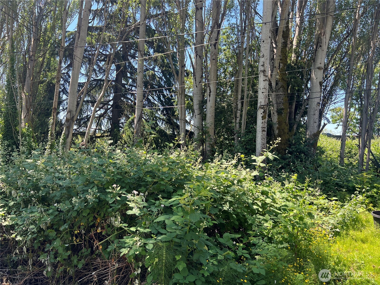 79 Xx Military Road Property Photo 5