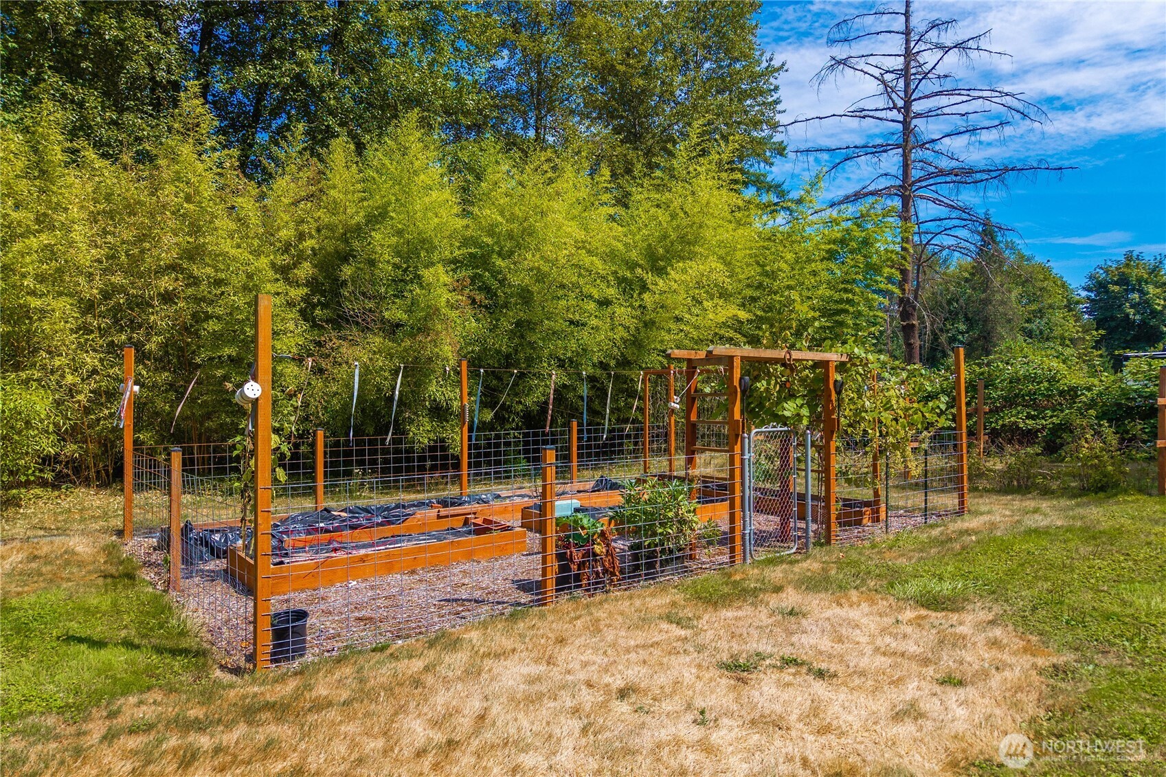 18201 Renton Maple Valley Road Property Photo 22