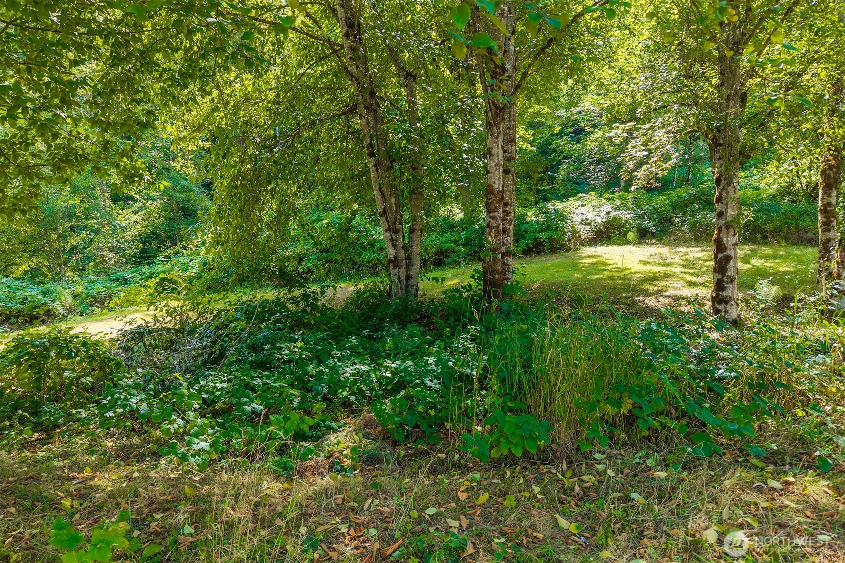 18201 Renton Maple Valley Road Property Photo 27