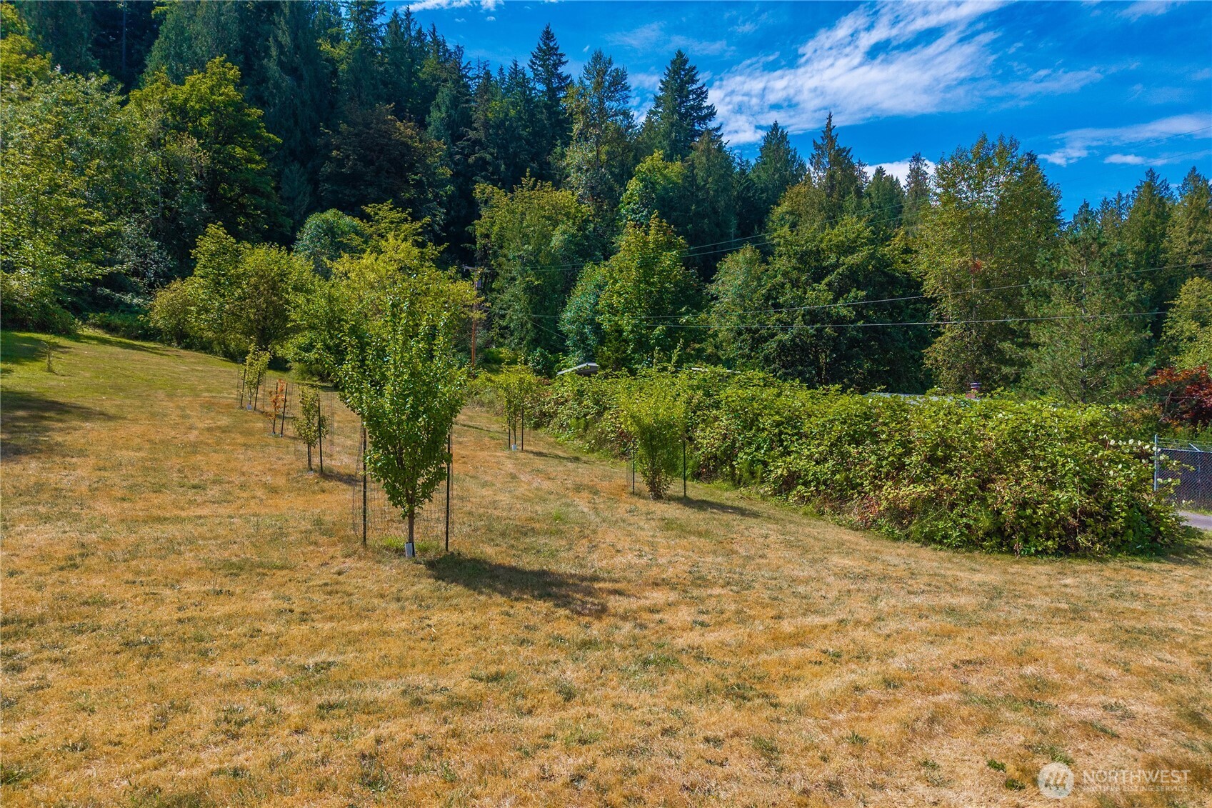 18201 Renton Maple Valley Road Property Photo 29