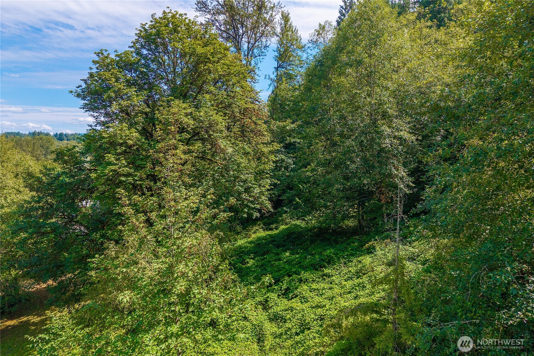 18201 Renton Maple Valley Road Property Photo 30