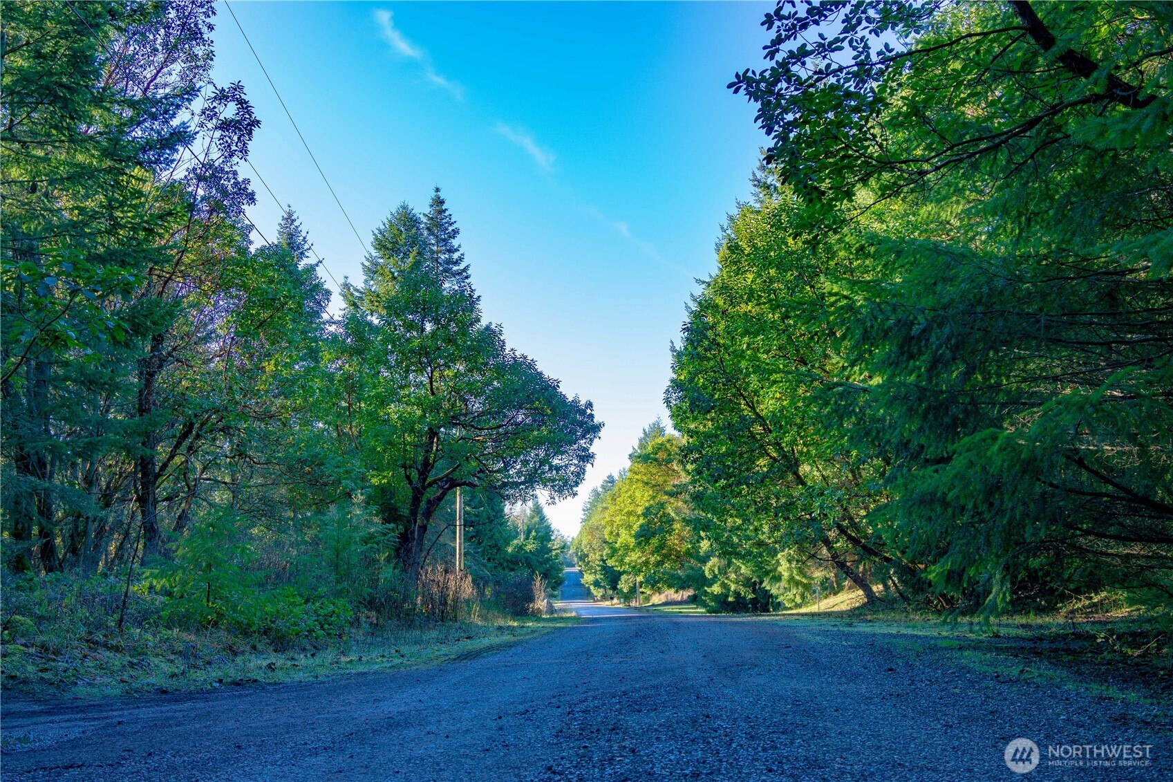 995 Kirner Road Property Photo 10