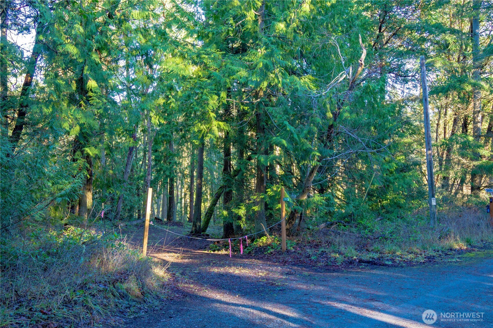 995 Kirner Road Property Photo 32