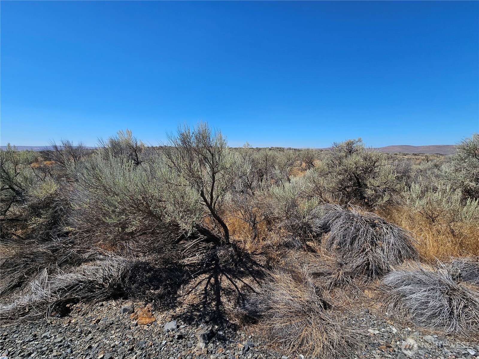 1 W Coyote Trail Property Photo 1