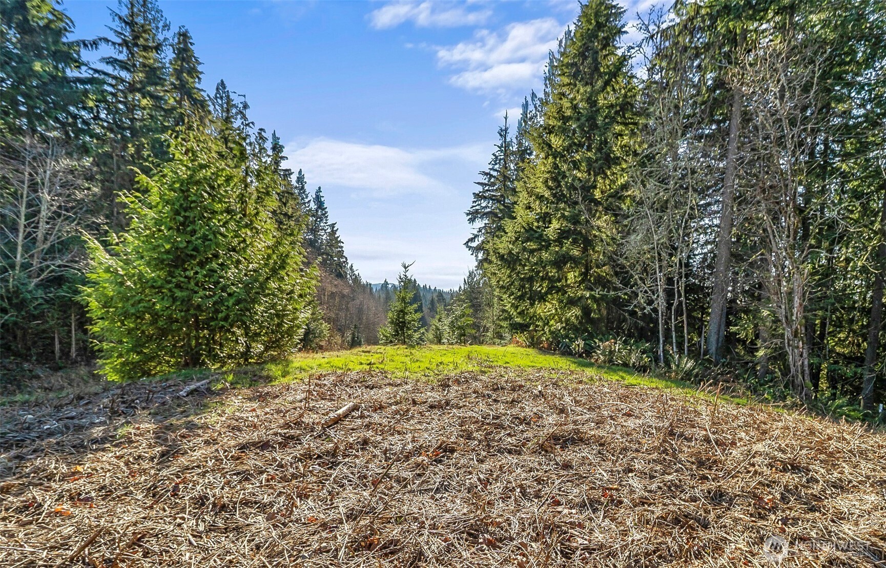7810 213th Avenue Property Photo 1