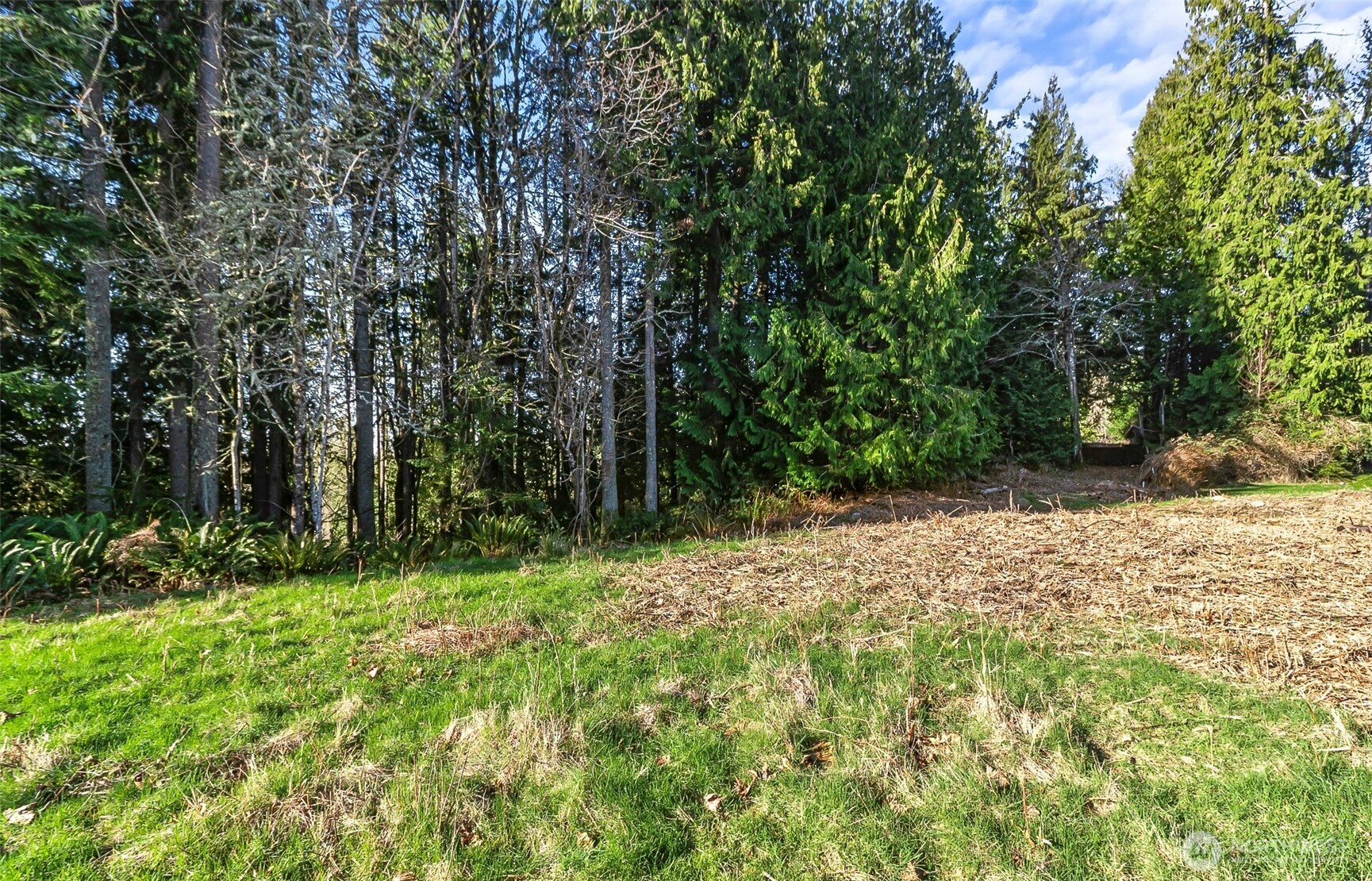 7810 213th Avenue Property Photo 3