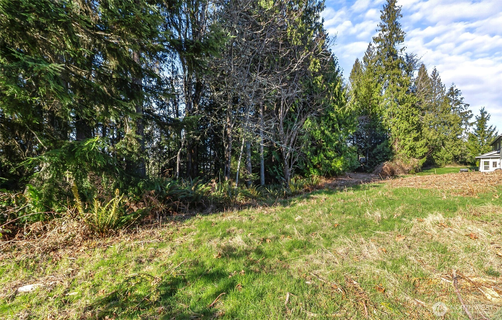 7810 213th Avenue Property Photo 4