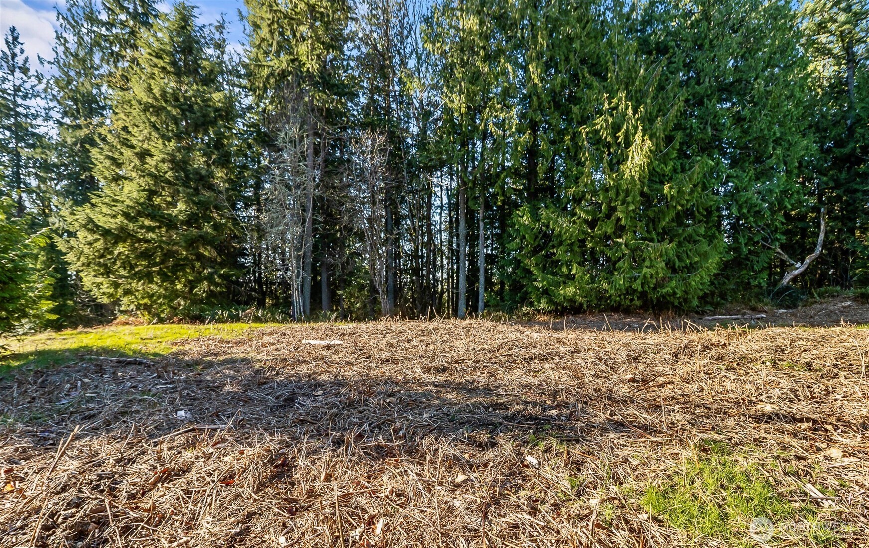 7810 213th Avenue Property Photo 7