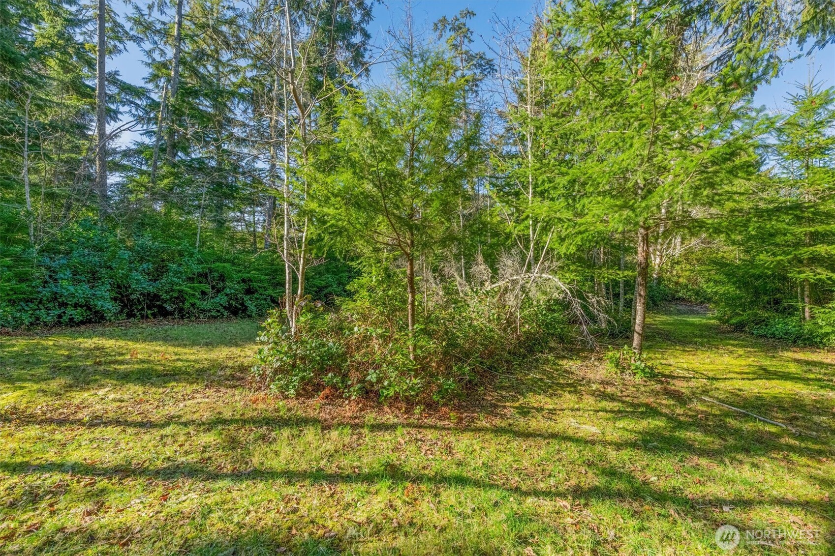 21333 Birch Place Property Photo 3