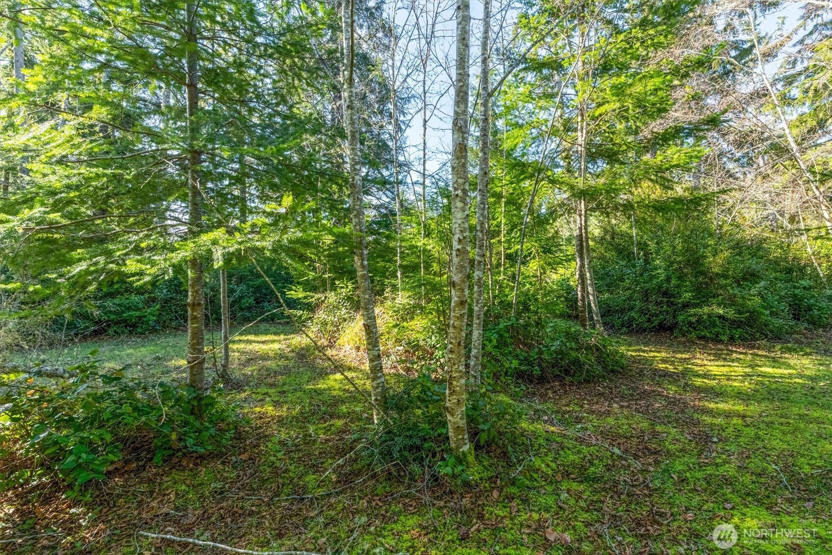 21333 Birch Place Property Photo 4