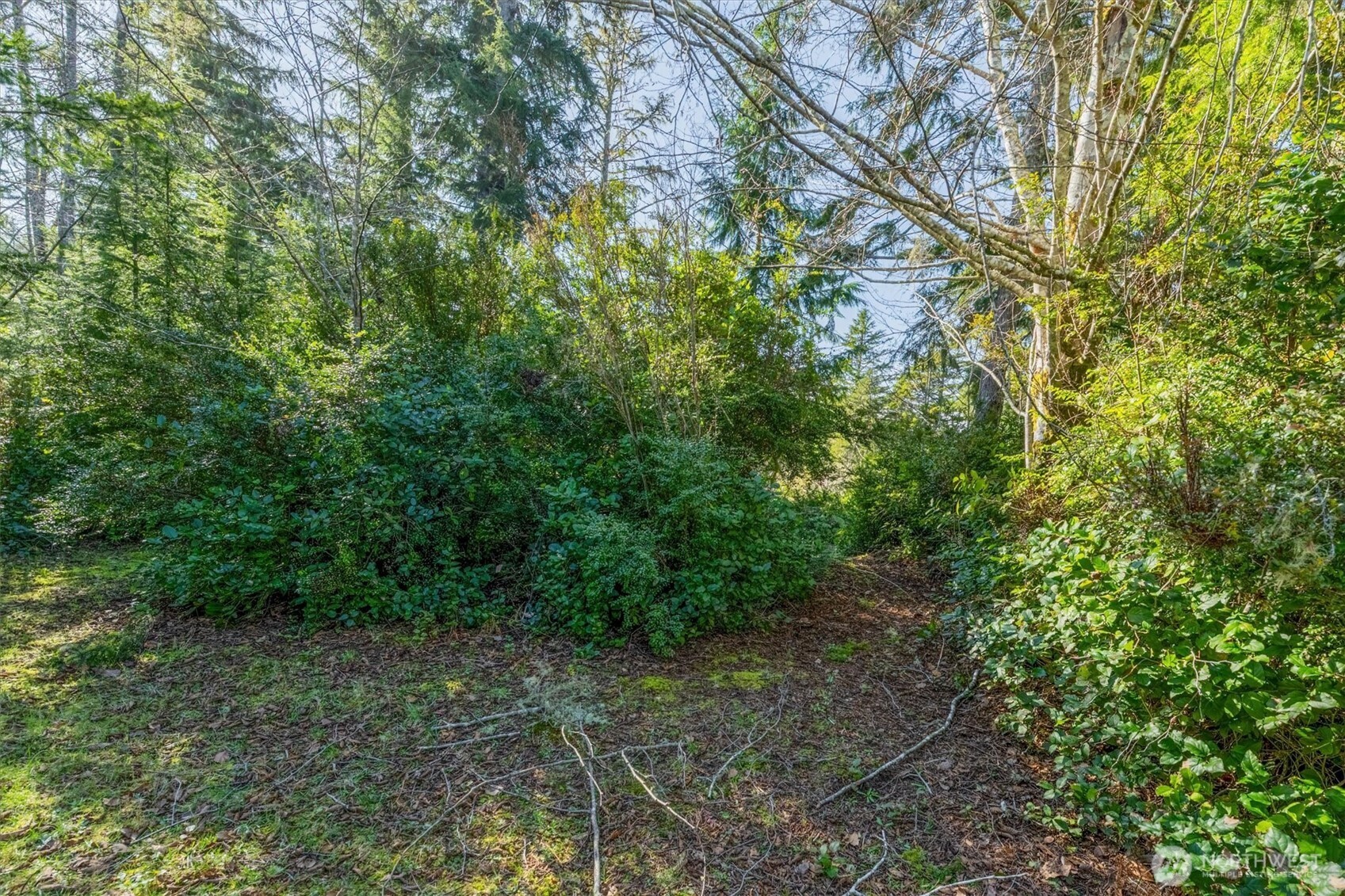 21333 Birch Place Property Photo 5